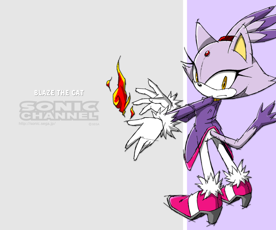video game, sonic the hedgehog, blaze the cat, sonic