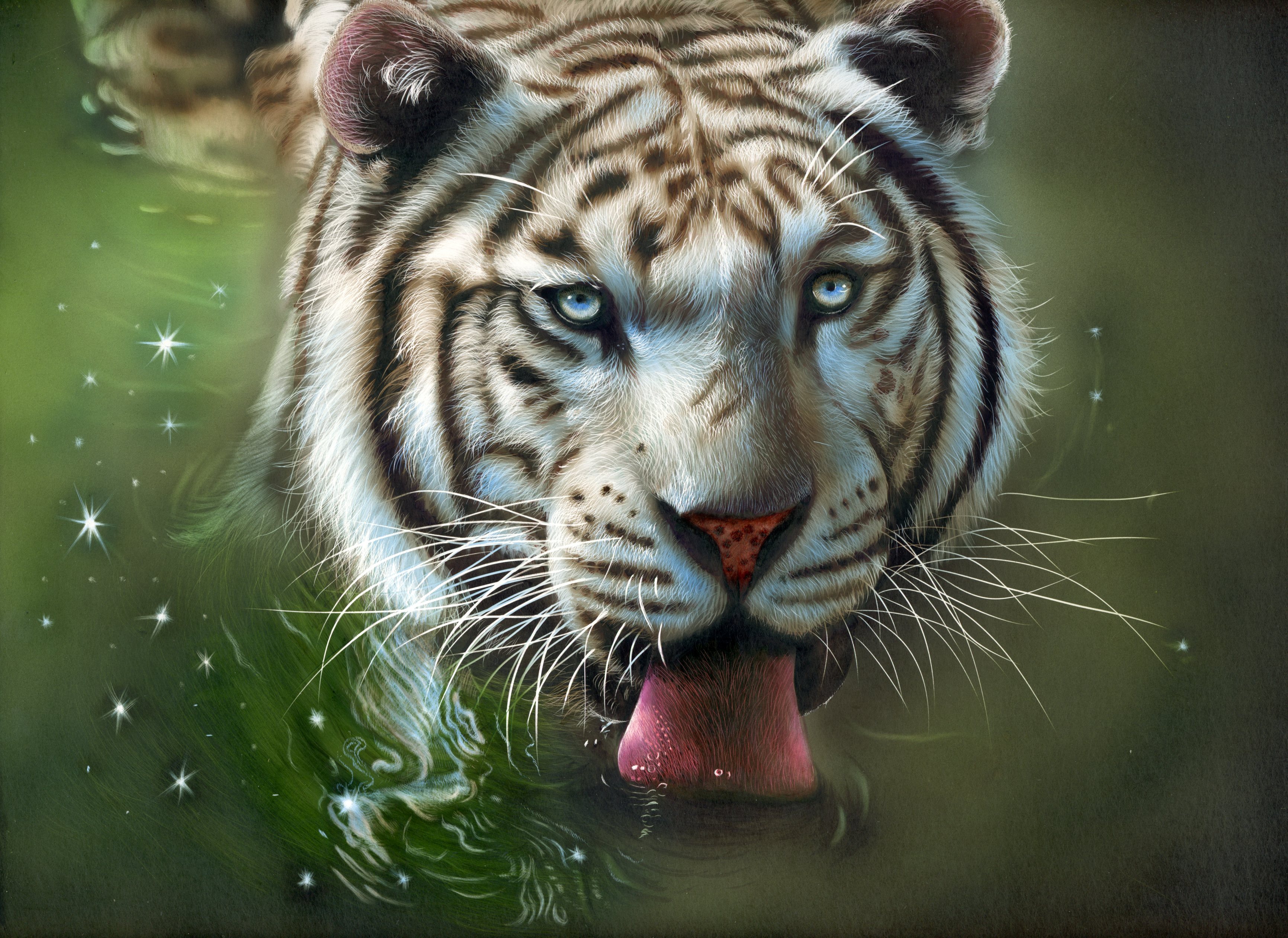 81354 скачать картинку арт, тигр, вода, высунутый язык - обои и заставки бесплатно