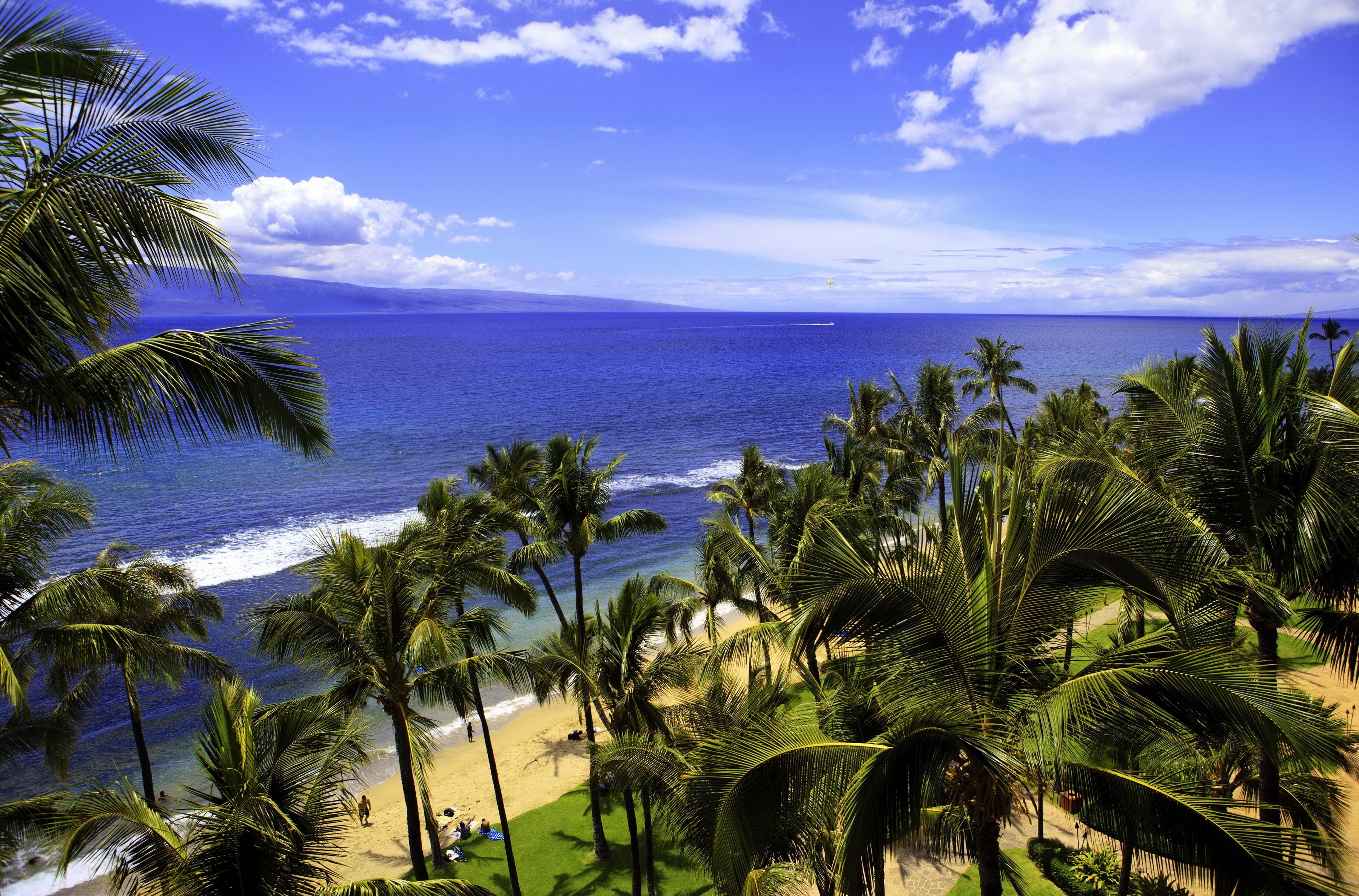 648121 télécharger le fond d'écran terre/nature, plage, nuage, hawaii, palmier, mer, ciel - économiseurs d'écran et images gratuitement