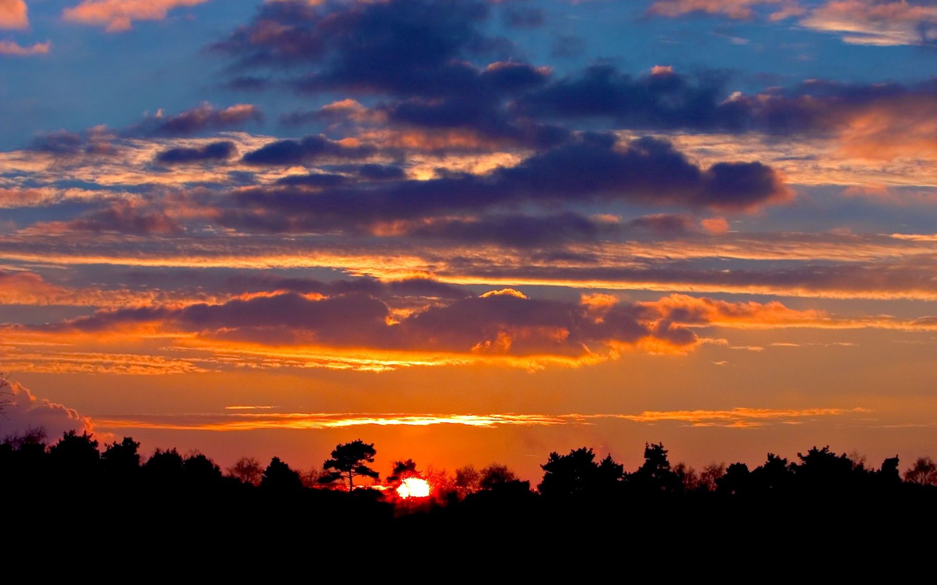 Laden Sie das Natur, Bäume, Sunset, Sky, Sun, Clouds, Horizont-Bild kostenlos auf Ihren PC-Desktop herunter
