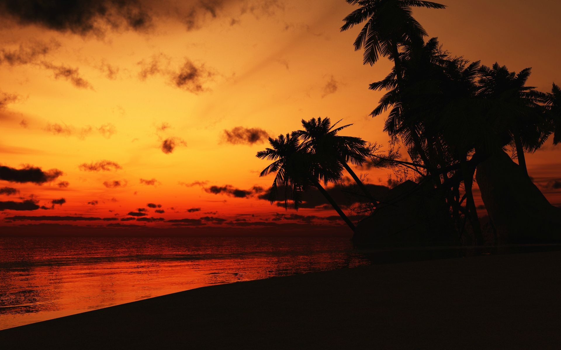 Free download wallpaper Nature, Sunset, Beach, Horizon, Earth, Palm Tree on your PC desktop