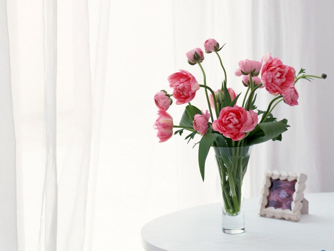 Handy-Wallpaper Pflanzen, Blumen, Still Leben, Bouquets kostenlos herunterladen.