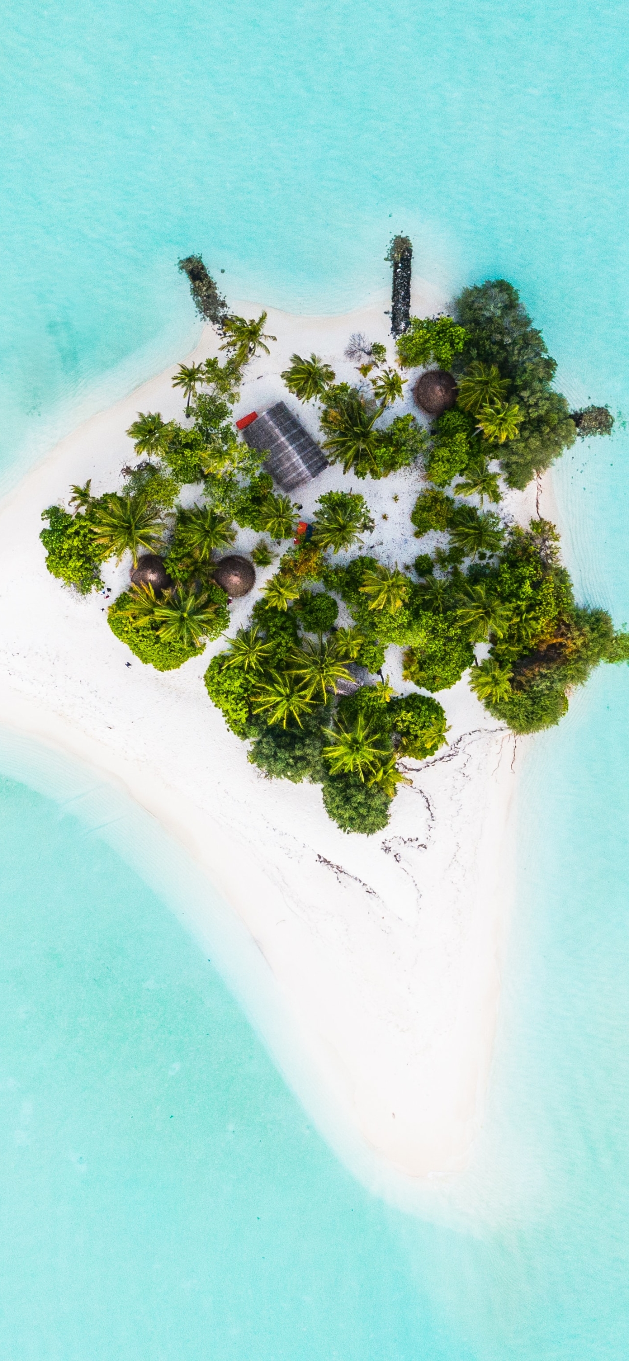 Download mobile wallpaper Earth, Island, Maldives, Aerial for free.