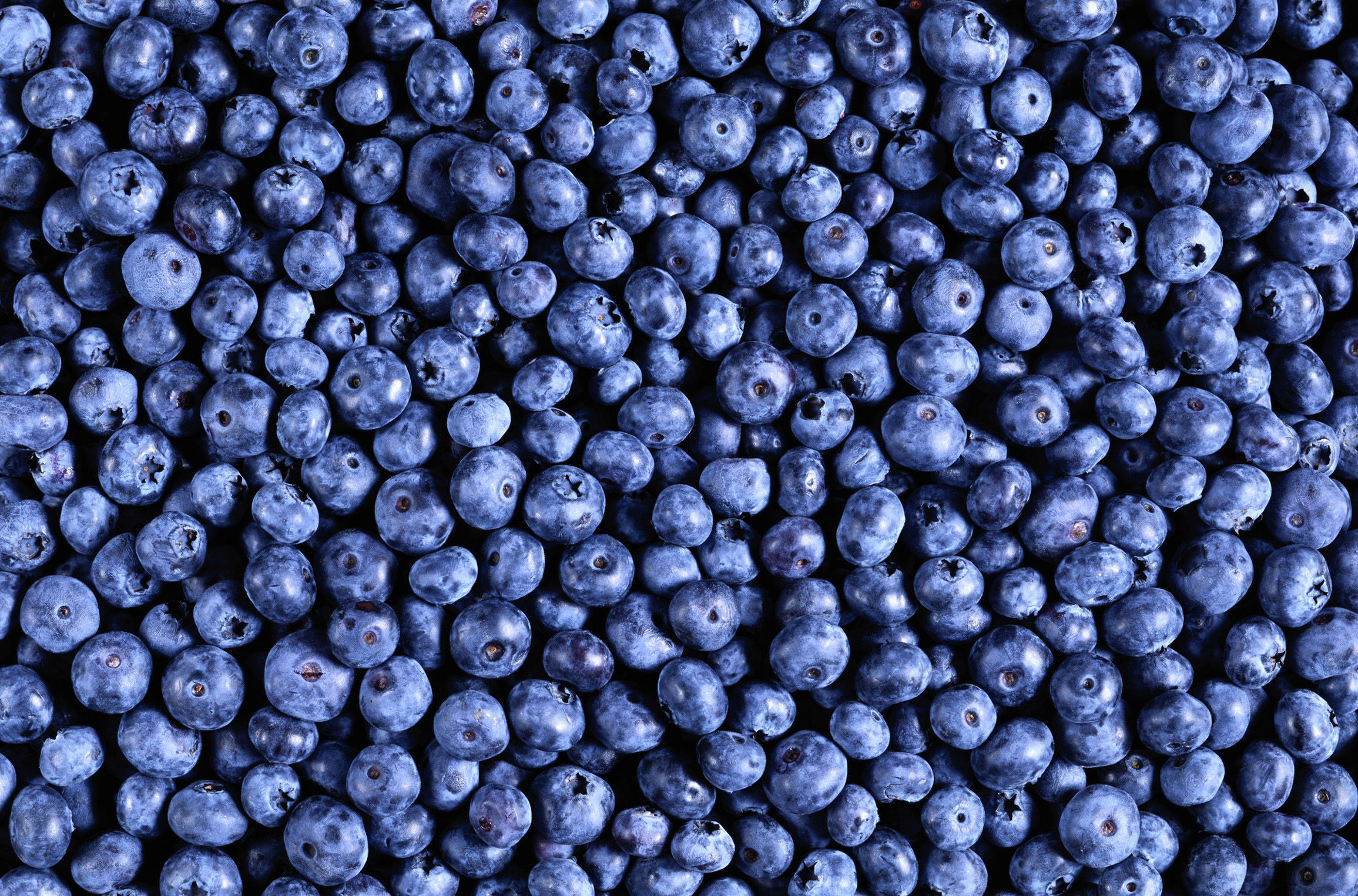 Download mobile wallpaper Food, Blueberry for free.
