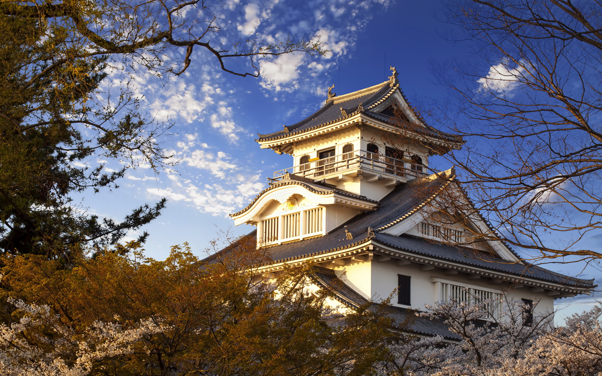 Handy-Wallpaper Schloss Nagahama, Hirashiro, Präfektur Shiga, Japan, Menschengemacht, Schloss, Schlösser kostenlos herunterladen.