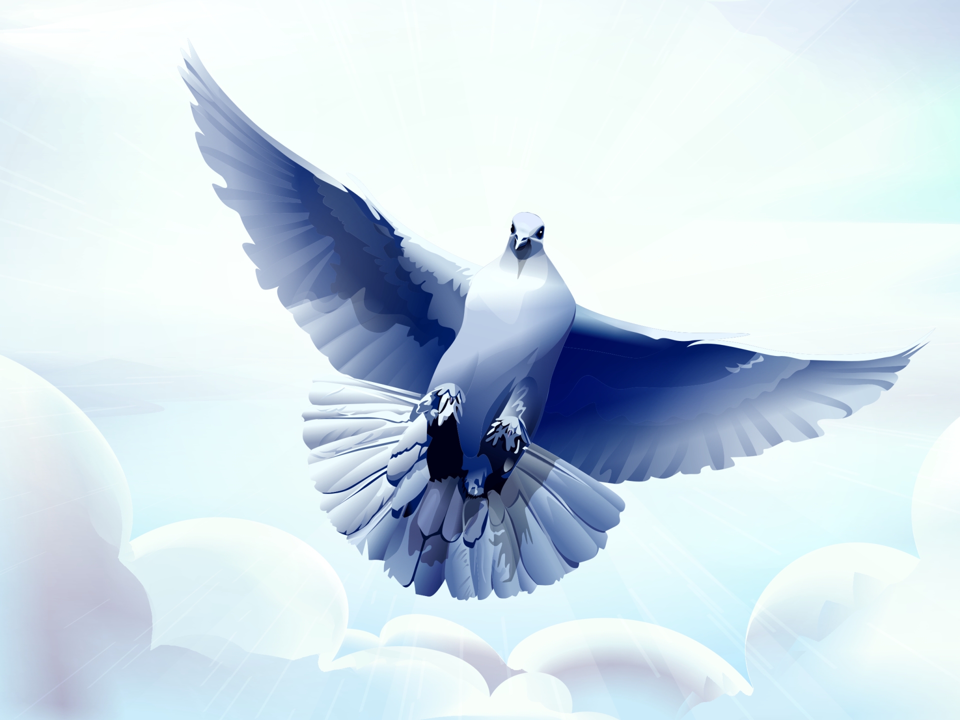 147769 скачать картинку голубь, вектор, птица, полет - обои и заставки бесплатно
