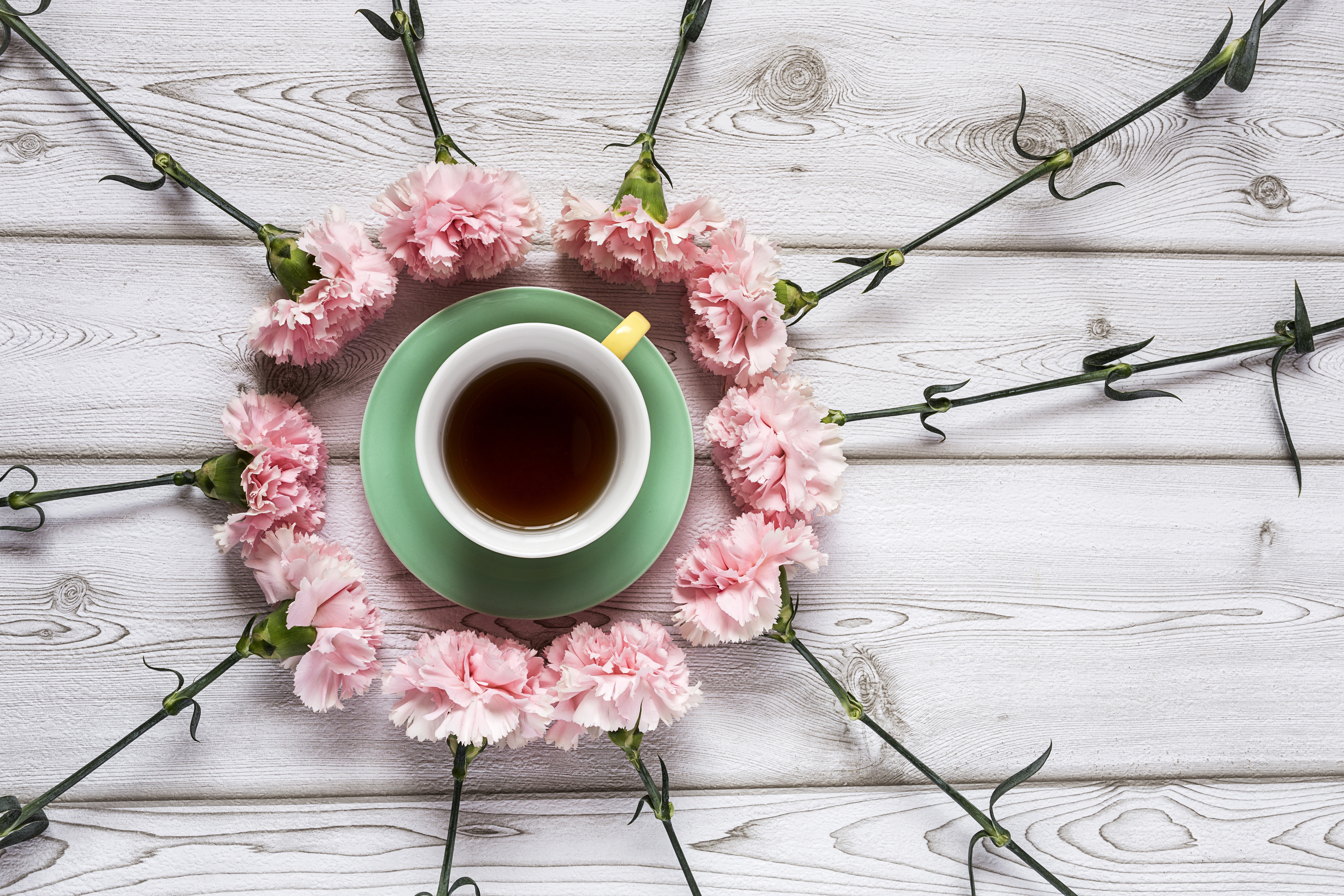 Завантажити шпалери безкоштовно Натюрморт, Квітка, Чай, Кубок, Харчування, Рожева Квітка картинка на робочий стіл ПК