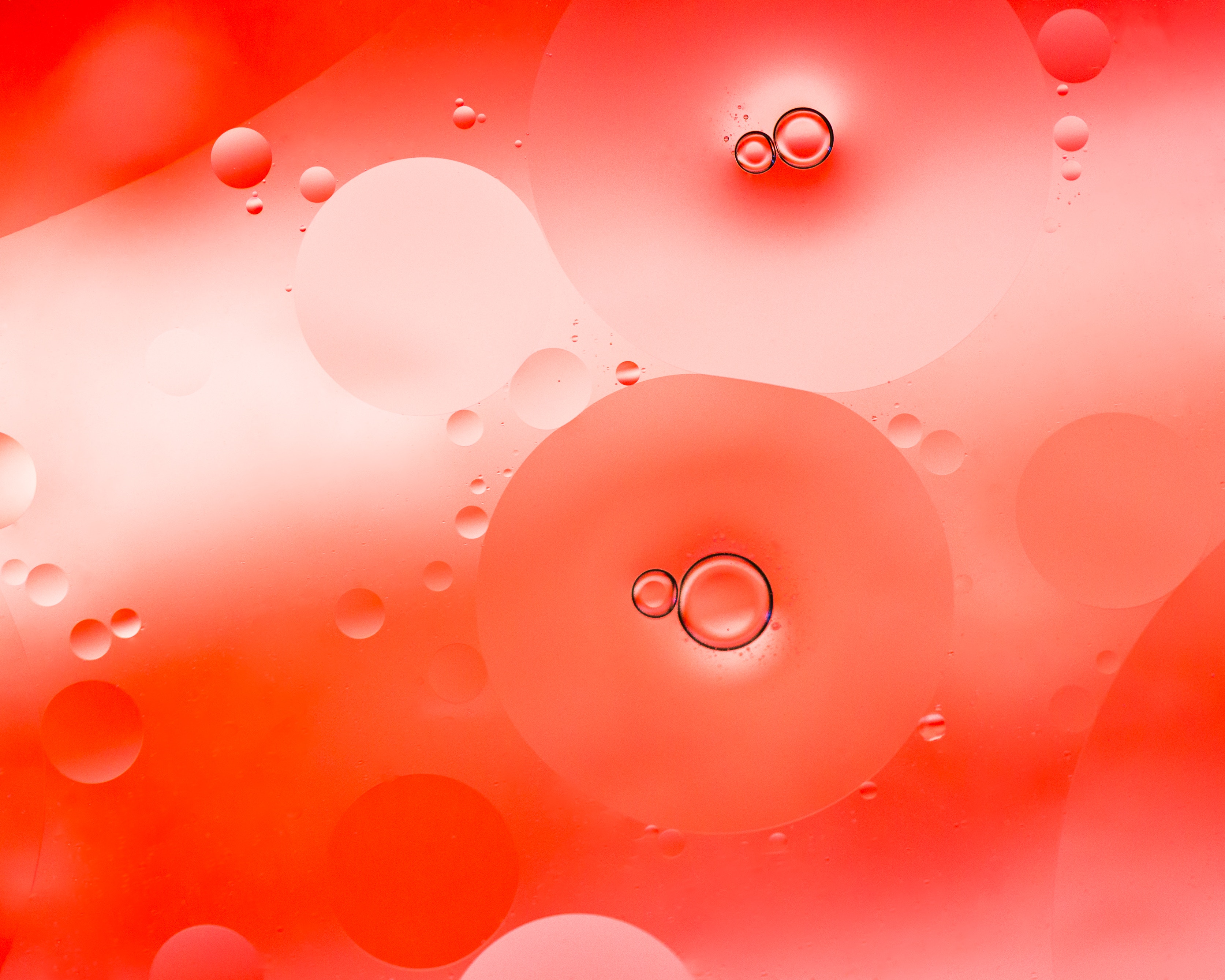 bubbles, circles, macro, liquid 32K