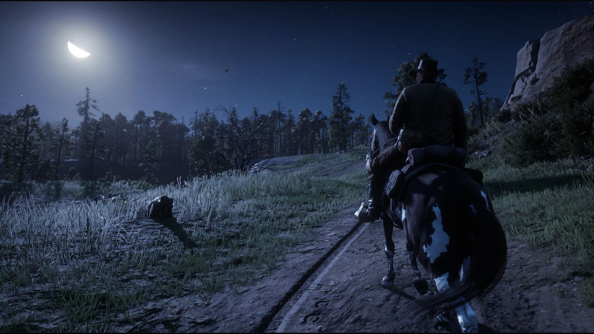 Baixe gratuitamente a imagem Videogame, Red Dead Redemption 2 na área de trabalho do seu PC