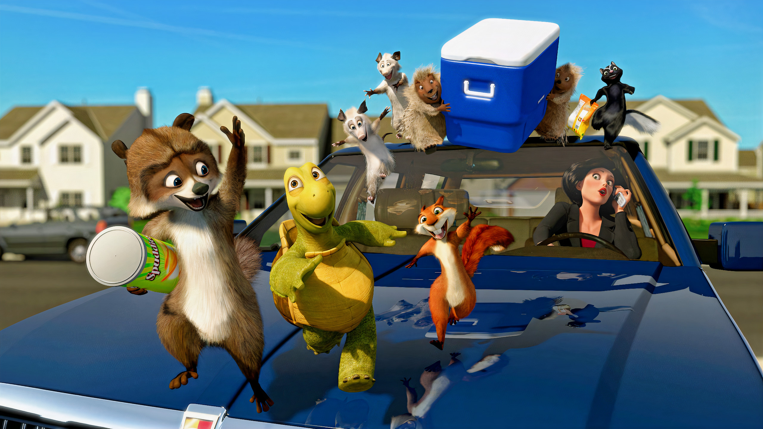 turtle, movie, over the hedge, racoon, squirrel