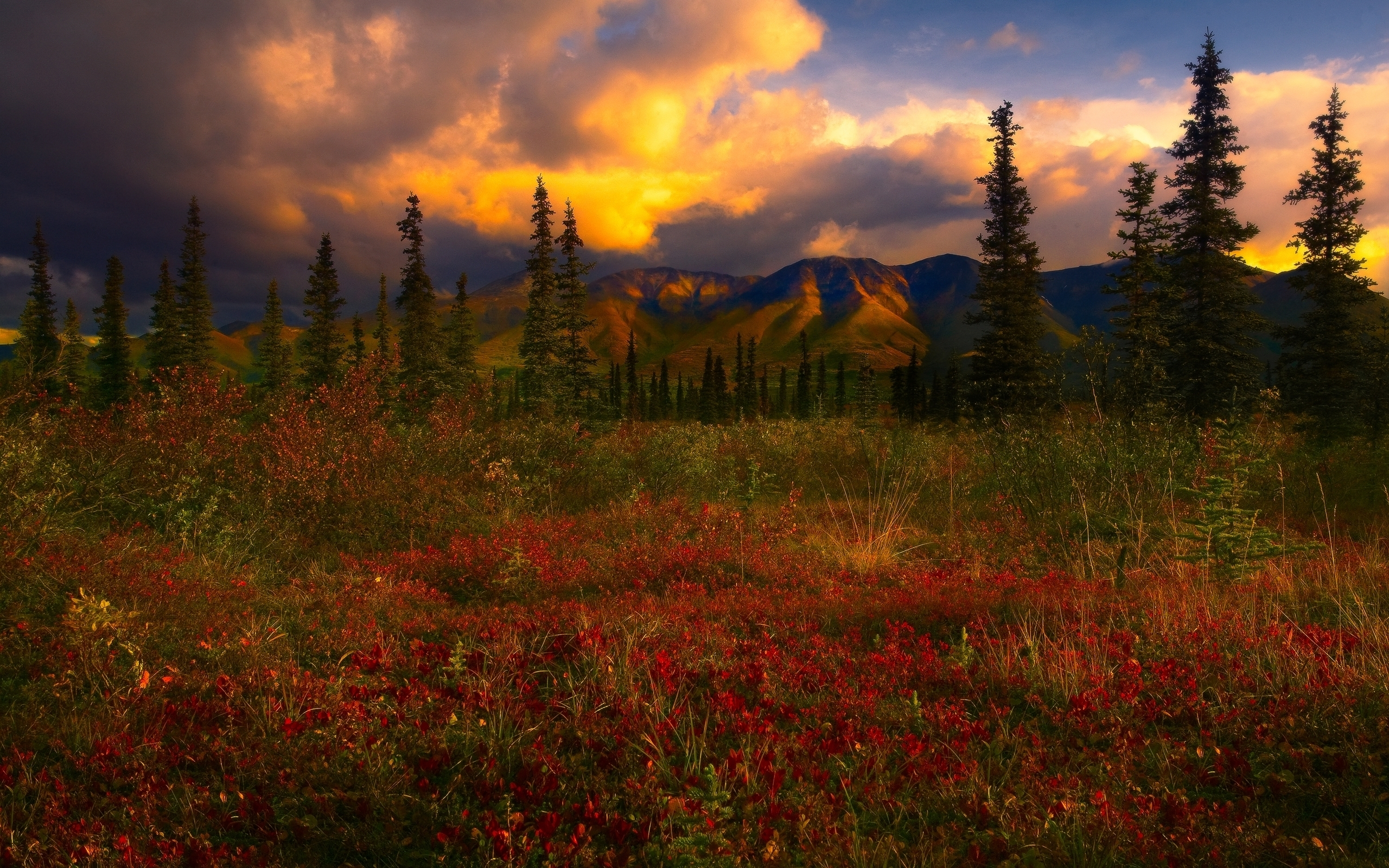 PCデスクトップに風景, 木, 日没, 秋, 山, 地球, 分野画像を無料でダウンロード