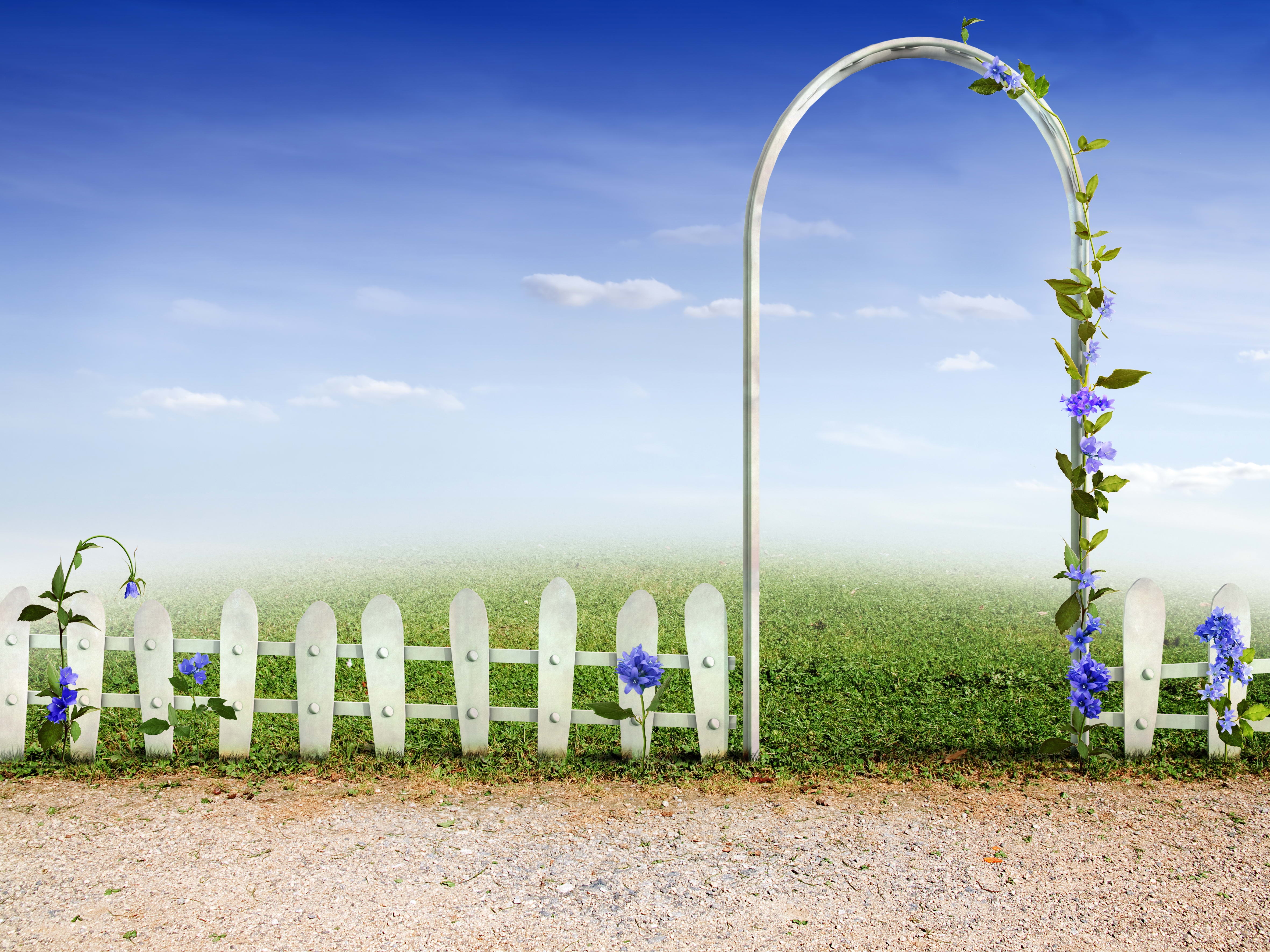 flowers, fairy tale, miscellanea, miscellaneous, fence, arch, graphics, story