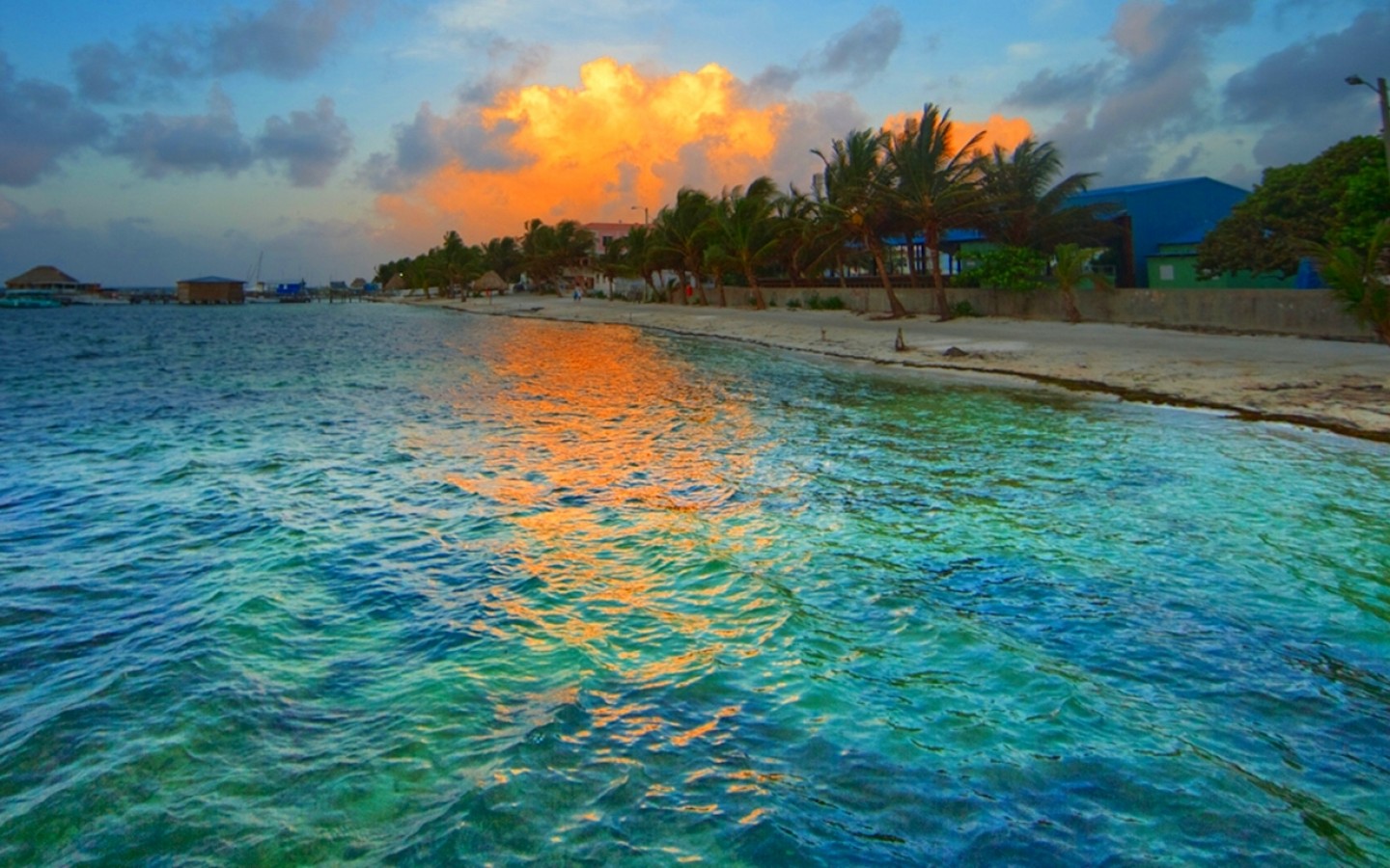 Descarga gratuita de fondo de pantalla para móvil de Mar, Playa, Tropical, Fotografía, Palmera, Puesta De Sol.