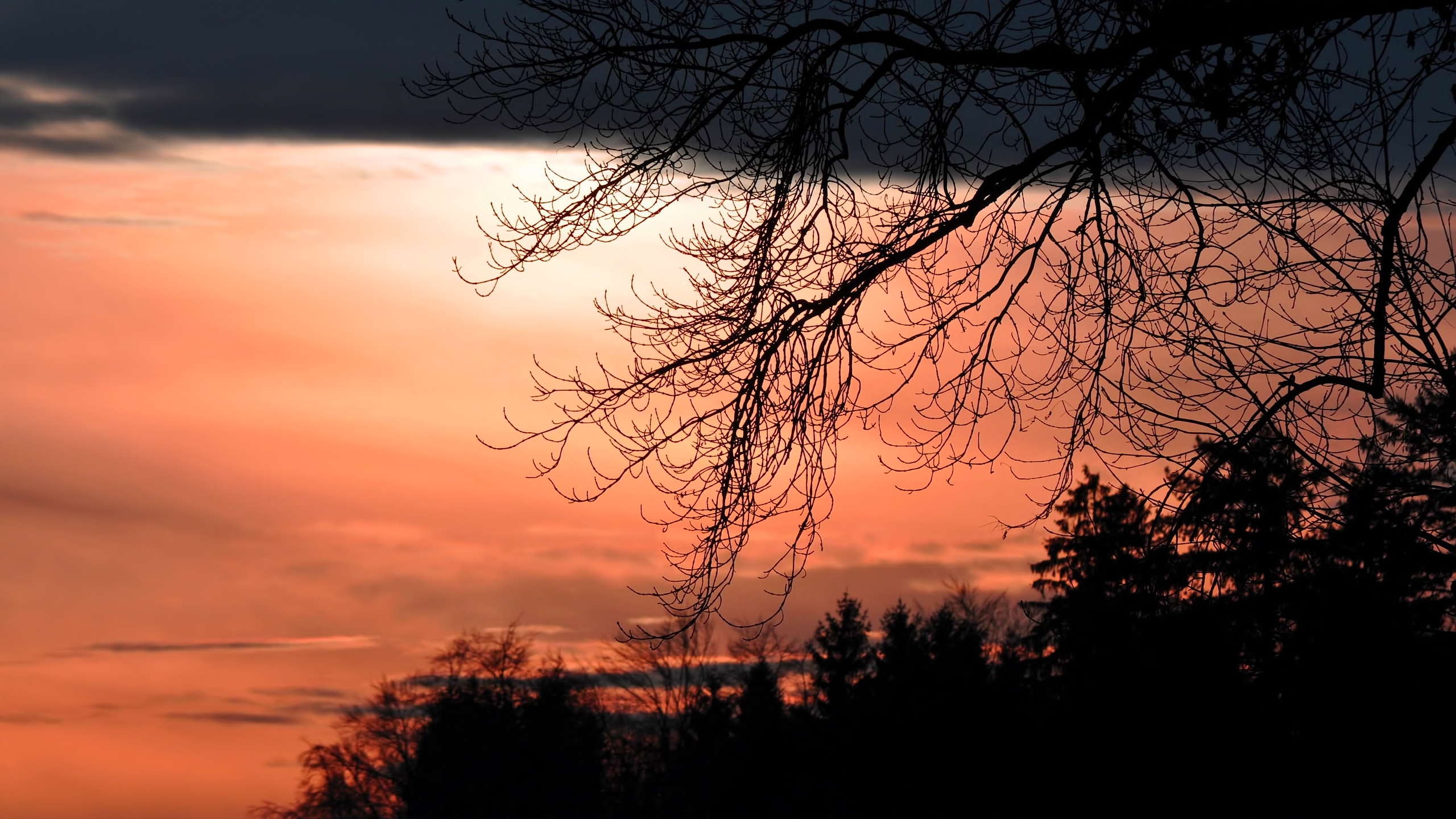 Téléchargez gratuitement l'image Ciel, Terre/nature sur le bureau de votre PC