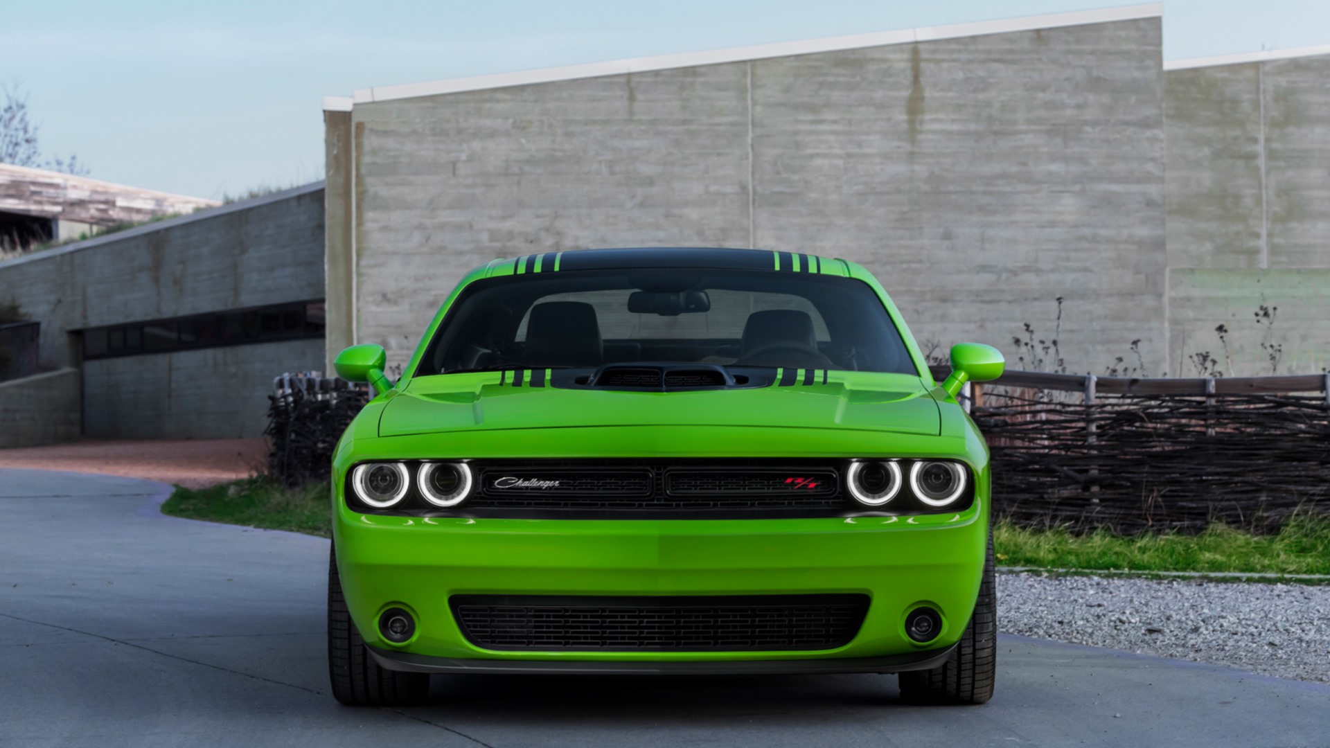 Скачать картинку Dodge Challenger, Уклоняться, Транспортные Средства в телефон бесплатно.