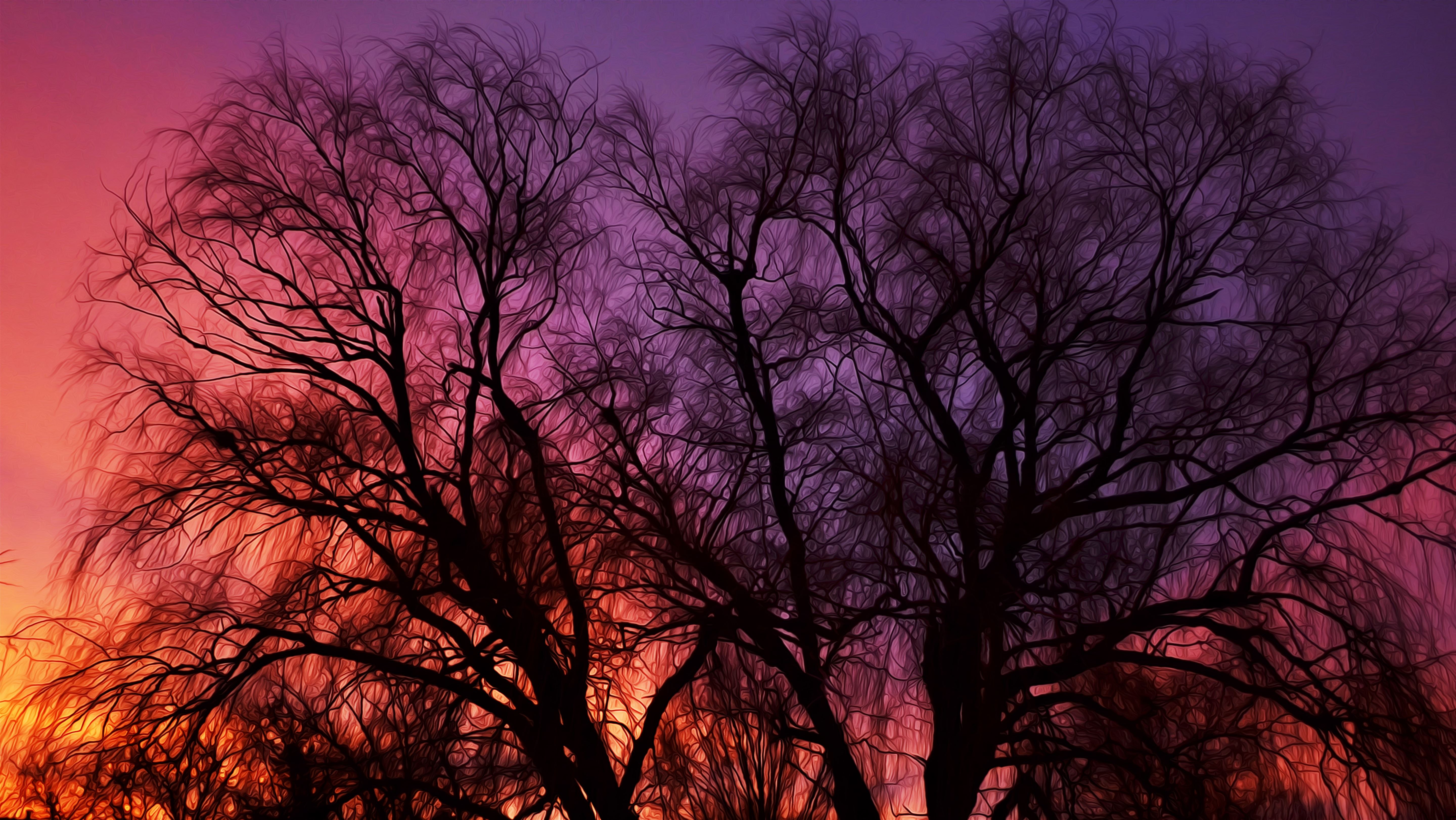 Download mobile wallpaper Sunset, Sky, Pink, Silhouette, Tree, Branch, Purple, Painting, Artistic, Oil Painting for free.