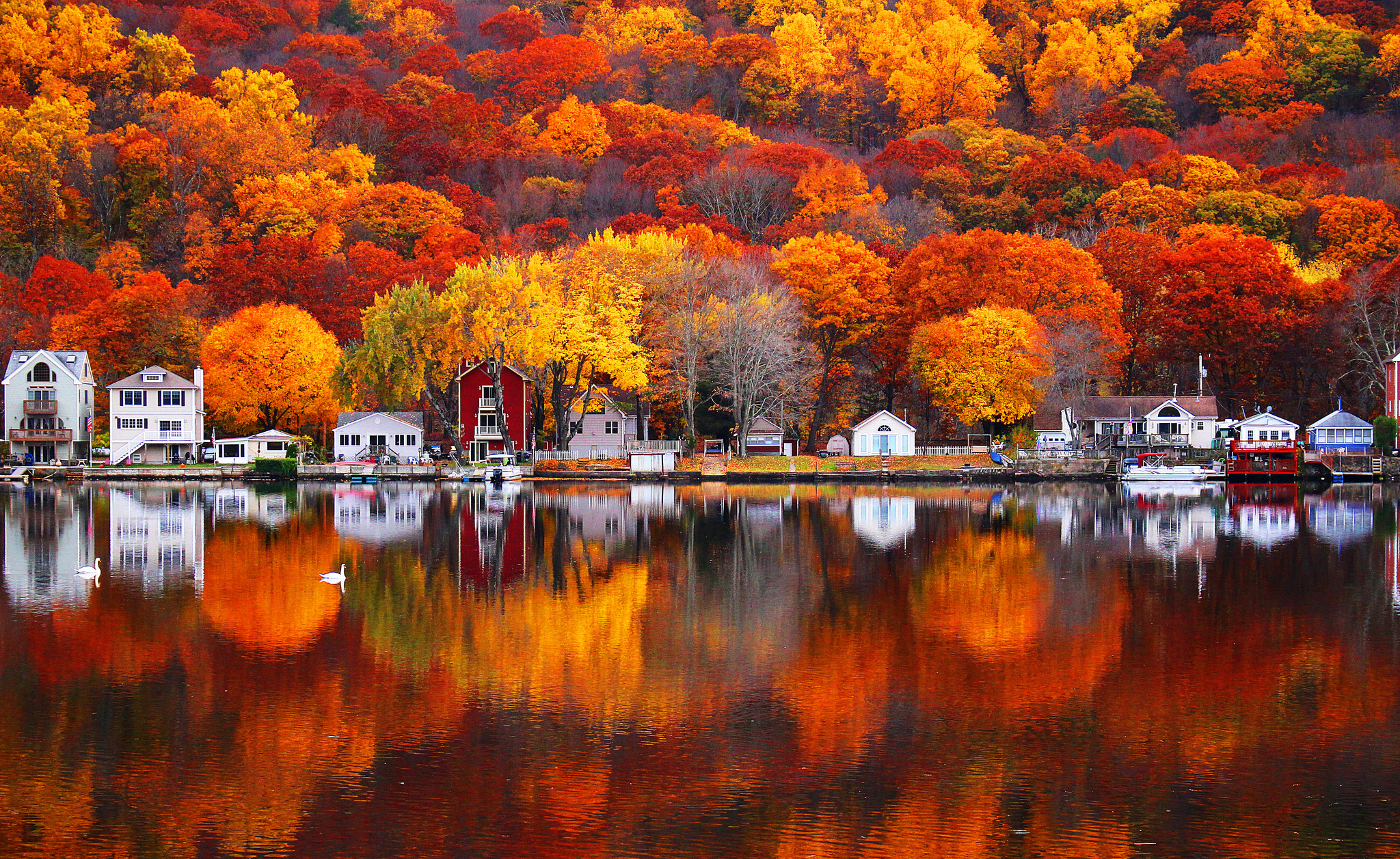 Free download wallpaper Lake, Reflection, Tree, Fall, House, Village, Photography on your PC desktop