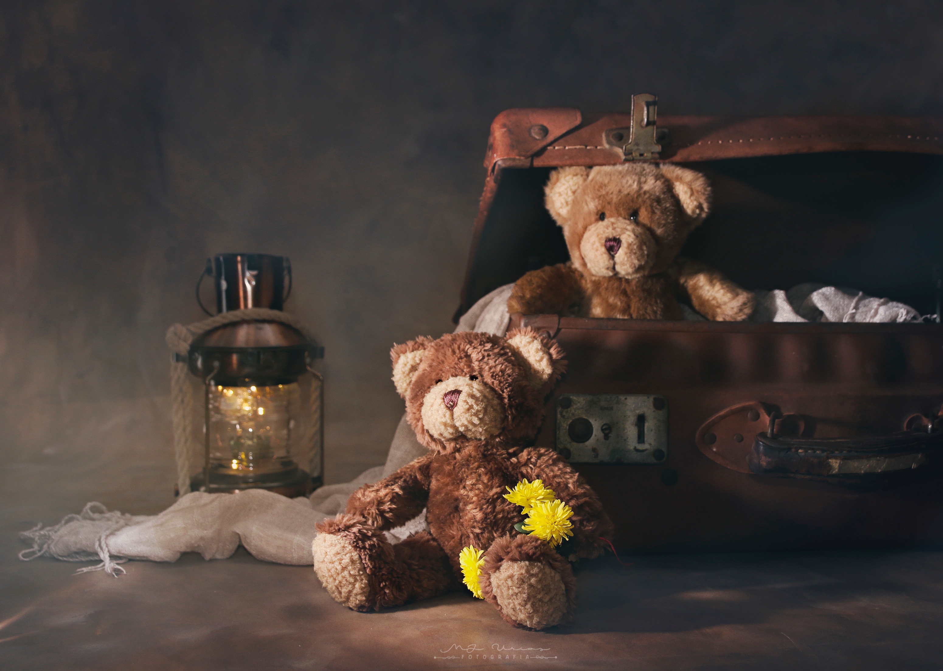 Laden Sie das Teddybär, Laterne, Koffer, Menschengemacht, Stillleben, Kuscheltier-Bild kostenlos auf Ihren PC-Desktop herunter