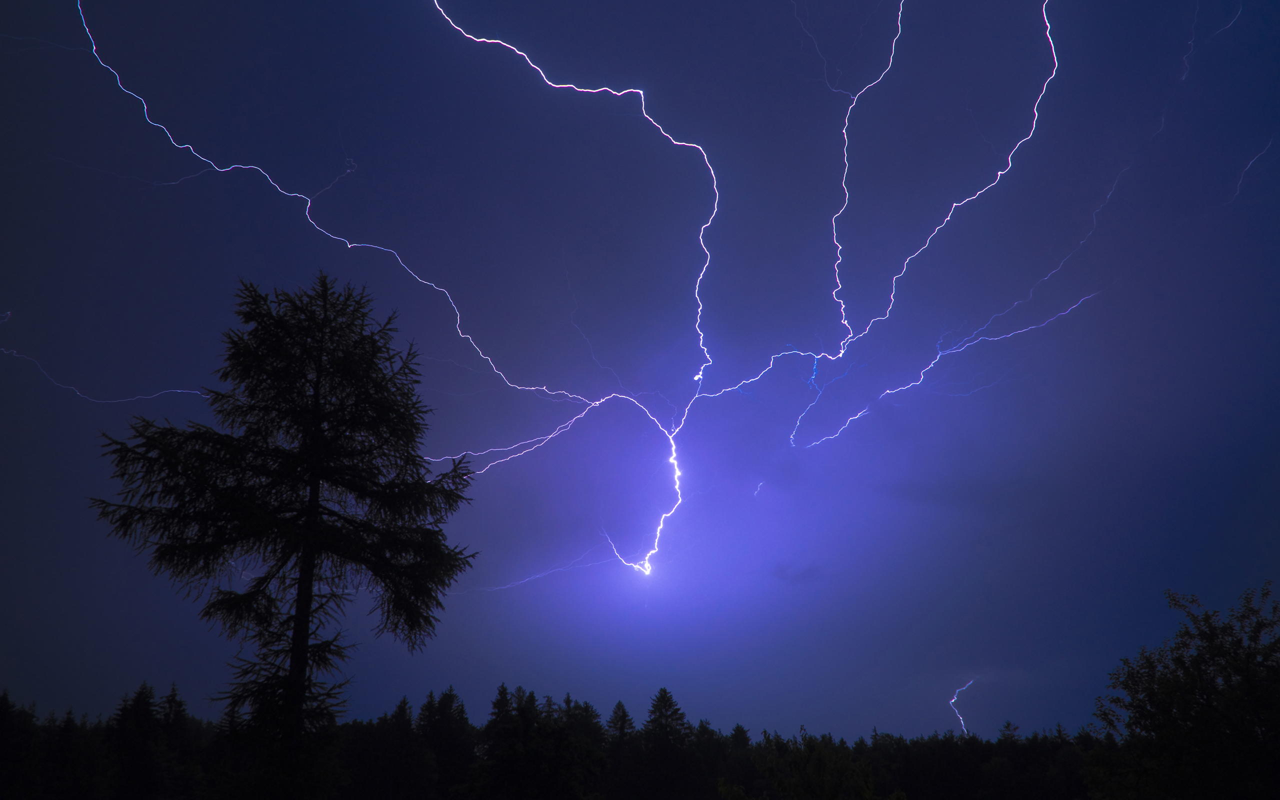 Download mobile wallpaper Photography, Forest, Earth, Lightning for free.