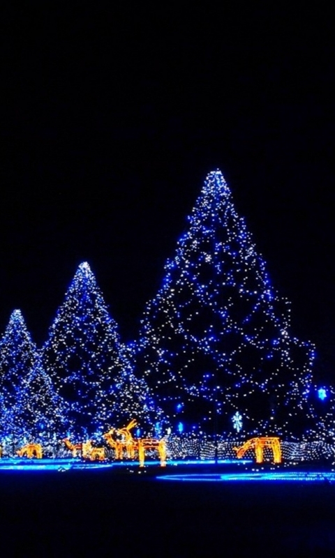 Download mobile wallpaper Night, Light, Christmas, Holiday, Christmas Tree, Christmas Lights for free.