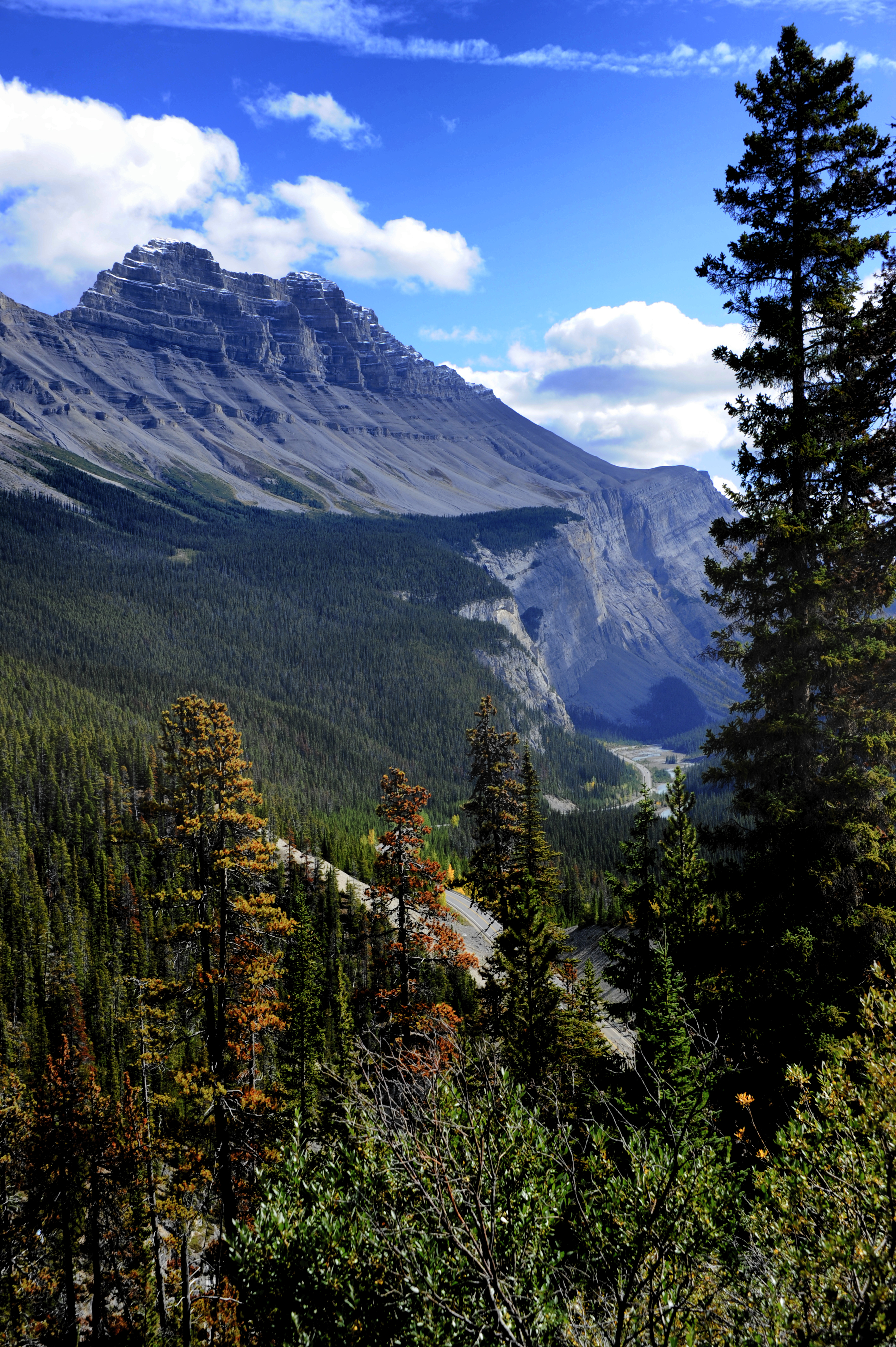Free download wallpaper Nature, Trees, Pine, Mountain, Landscape on your PC desktop