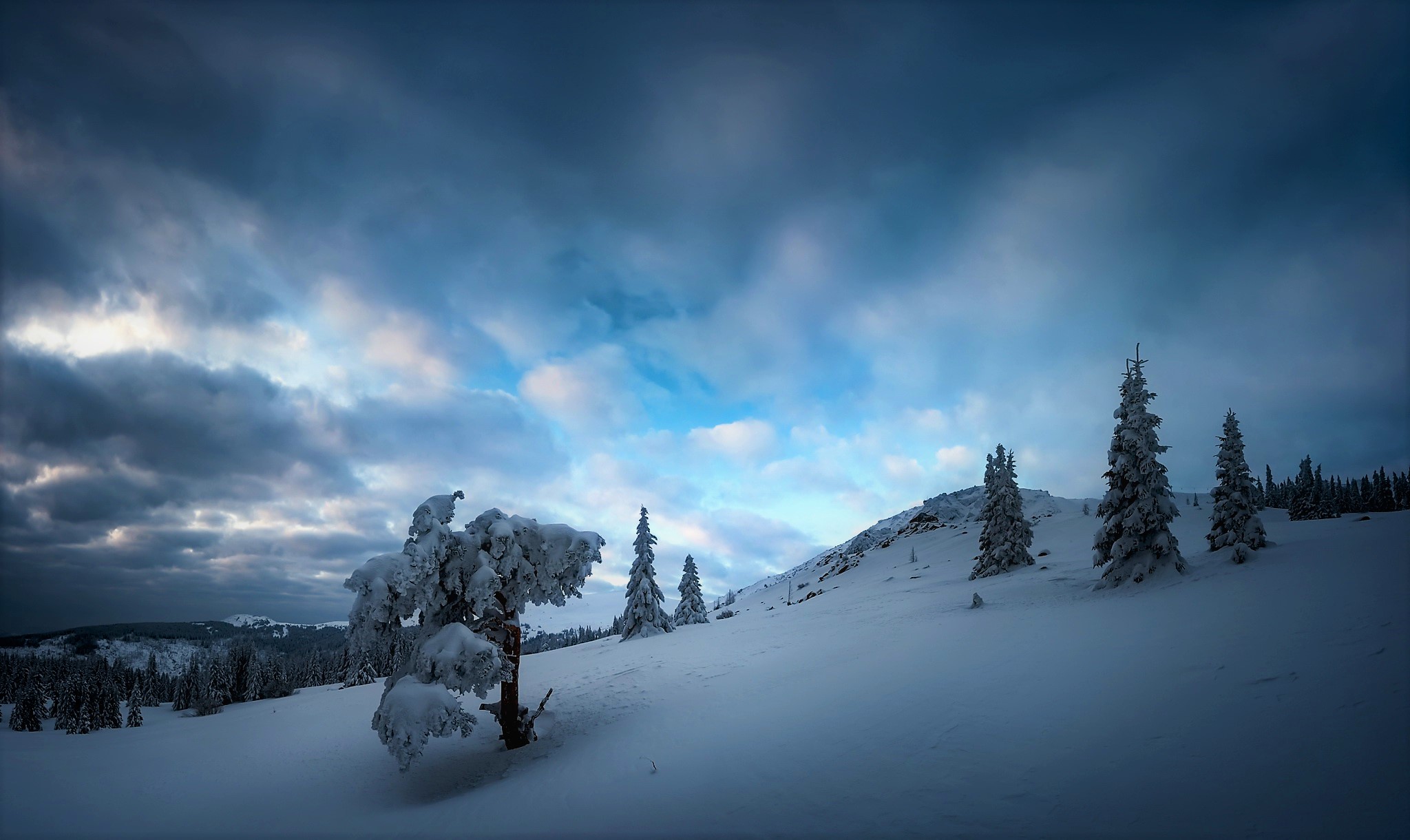 Descarga gratuita de fondo de pantalla para móvil de Invierno, Cielo, Nieve, Árbol, Nube, Tierra/naturaleza.