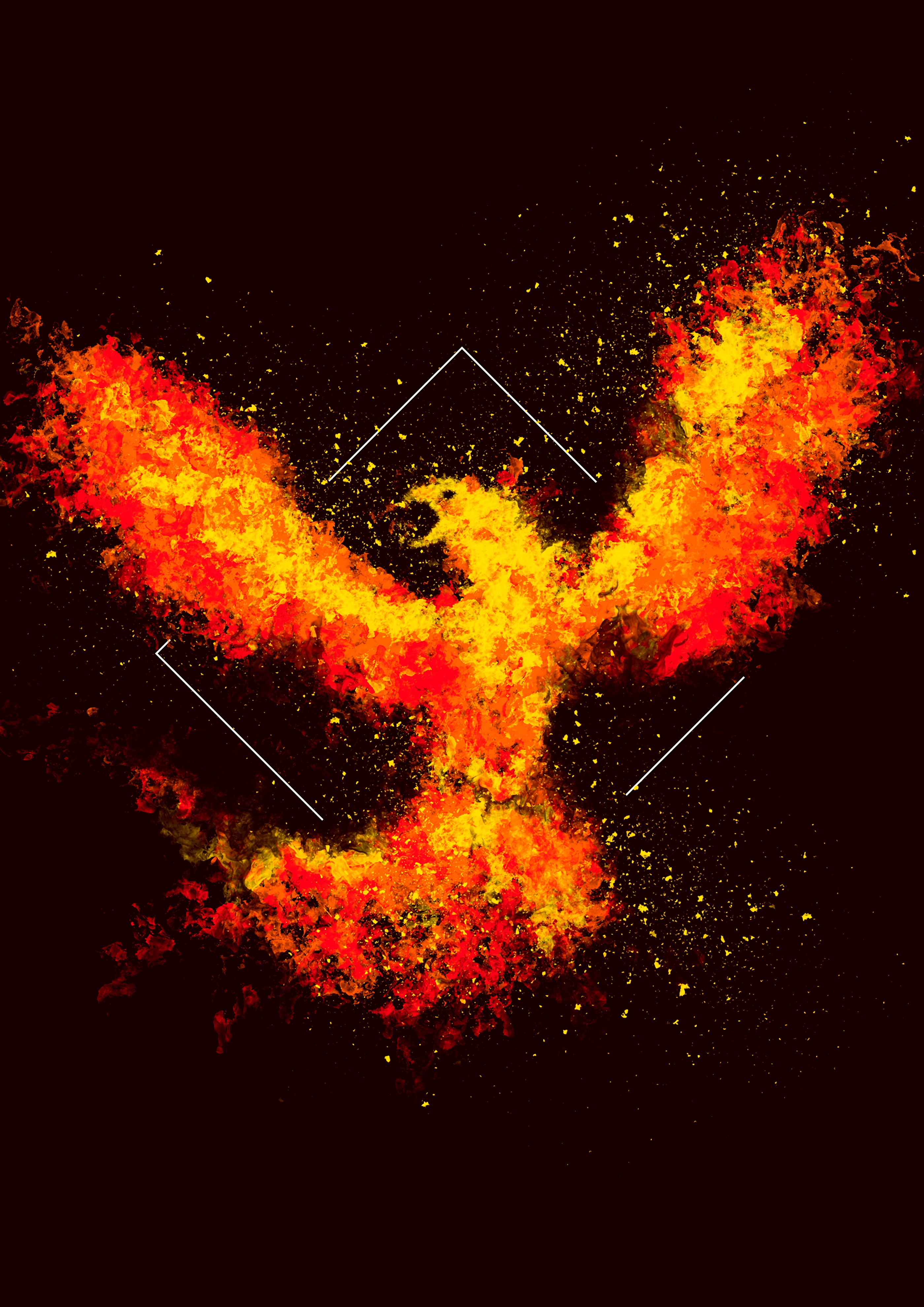 art, phoenix, fire, bird, square