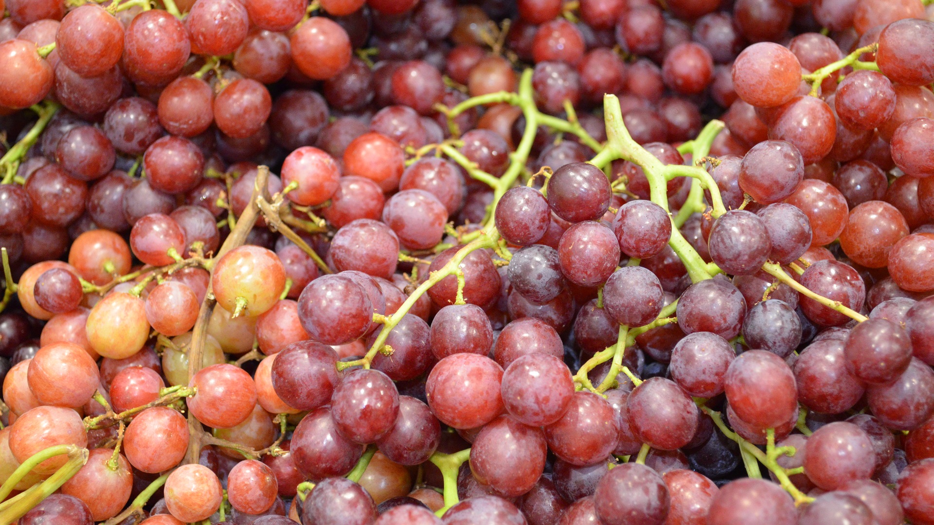 Download mobile wallpaper Grapes, Fruit, Fruits, Food for free.