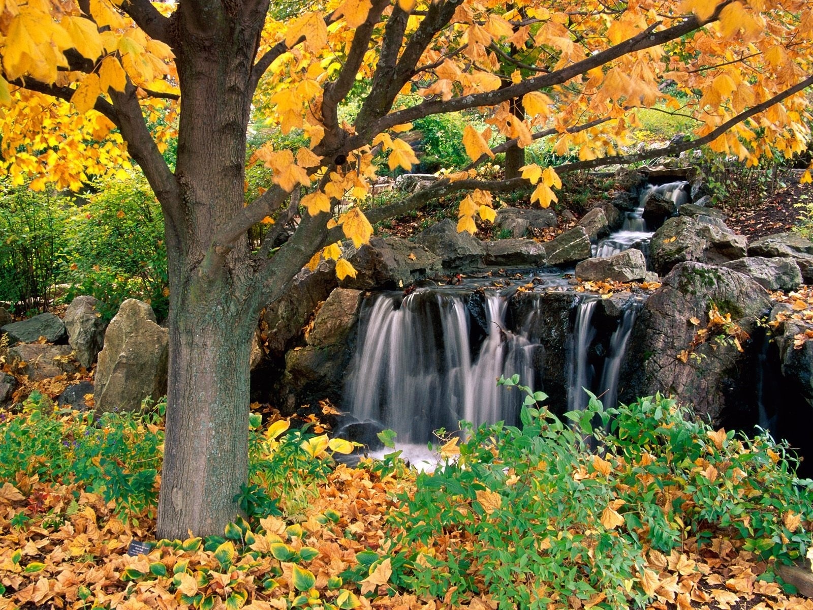 Handy-Wallpaper Natur, Wasser, Herbst, Wasserfälle, Wasserfall, Baum, Blatt, Erde/natur kostenlos herunterladen.