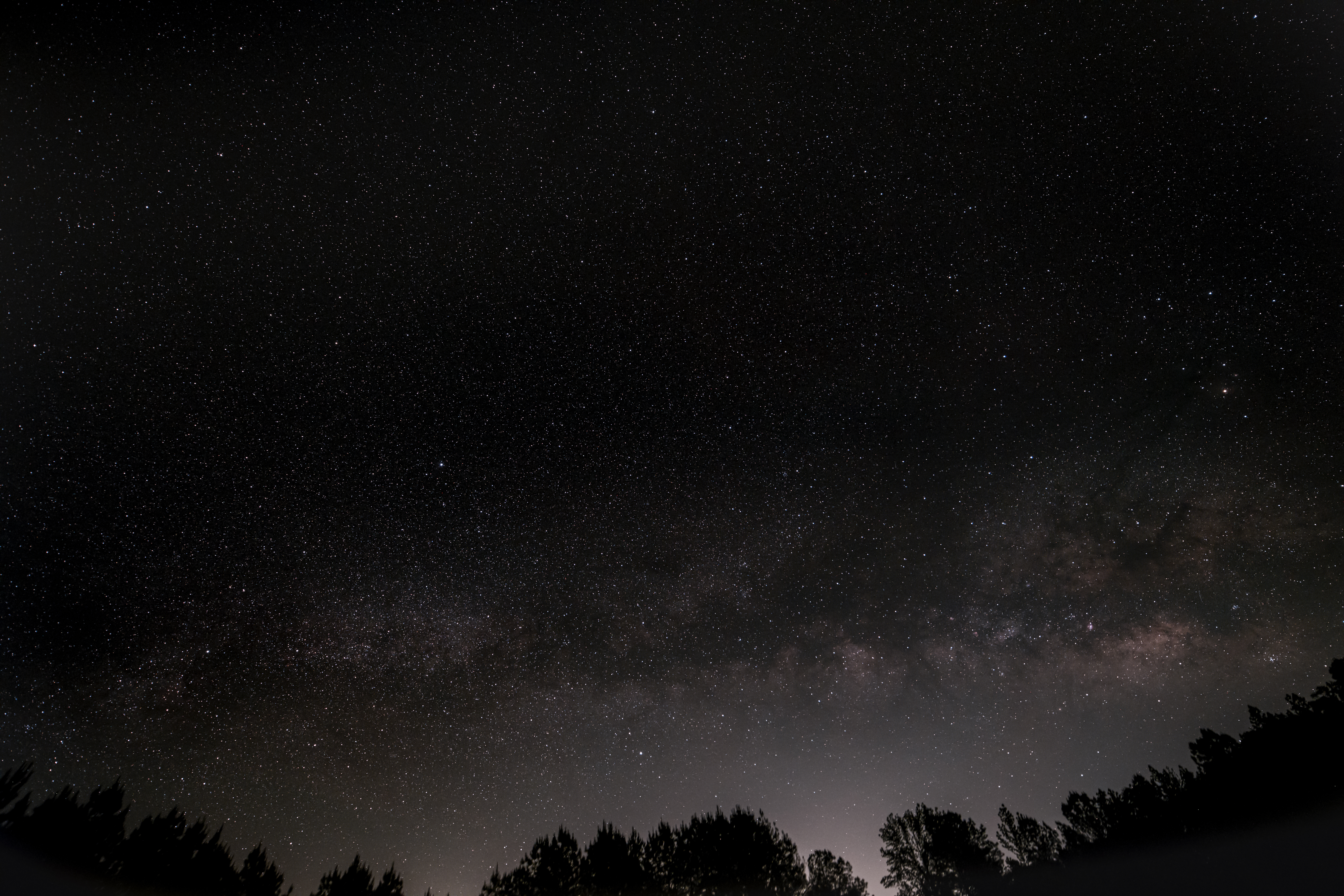 Descarga gratuita de fondo de pantalla para móvil de Estrellas, Noche, Cielo Estrellado, Árboles, Nebulosa, Universo.