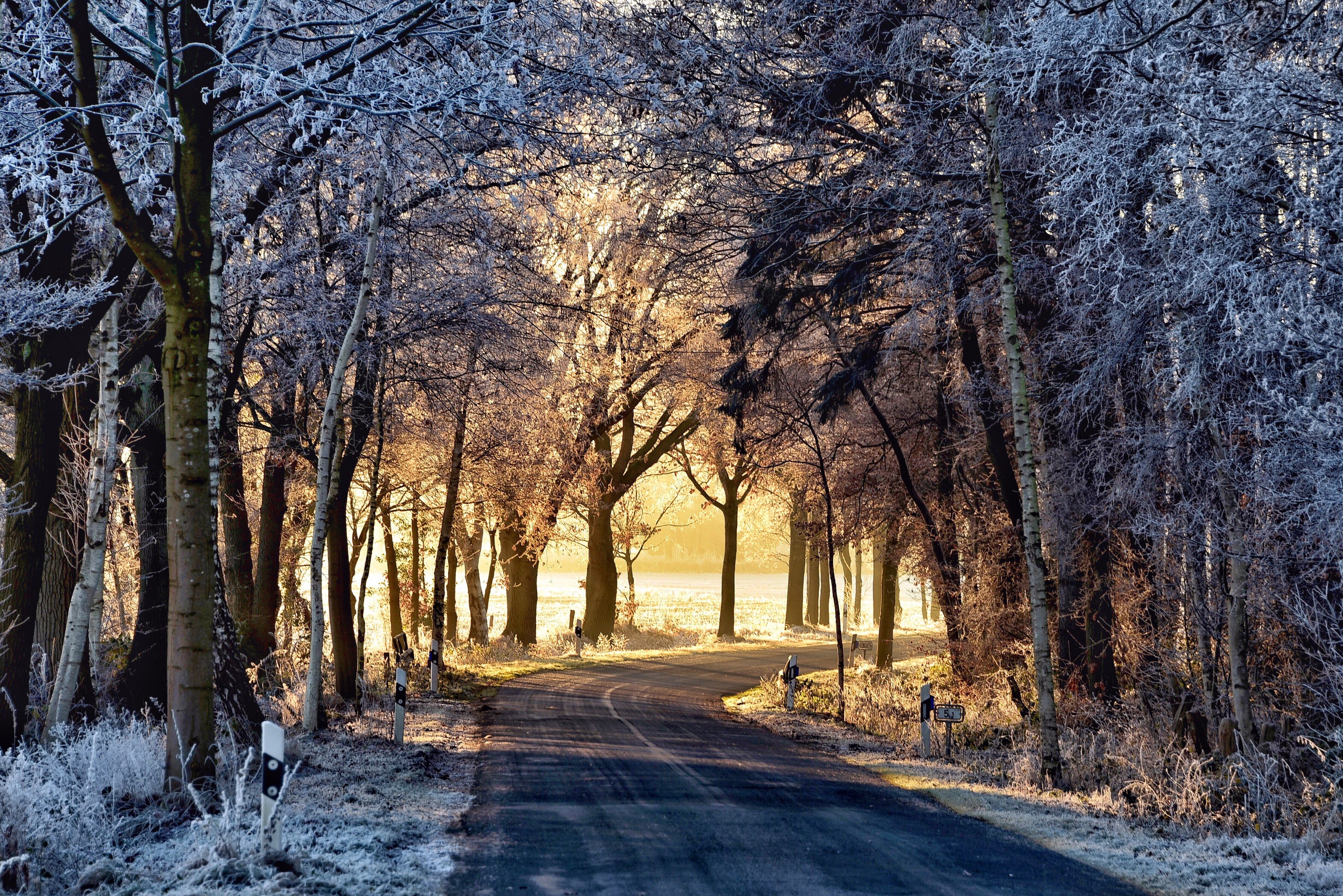 Download mobile wallpaper Winter, Nature, Road, Tree, Sunny, Man Made for free.