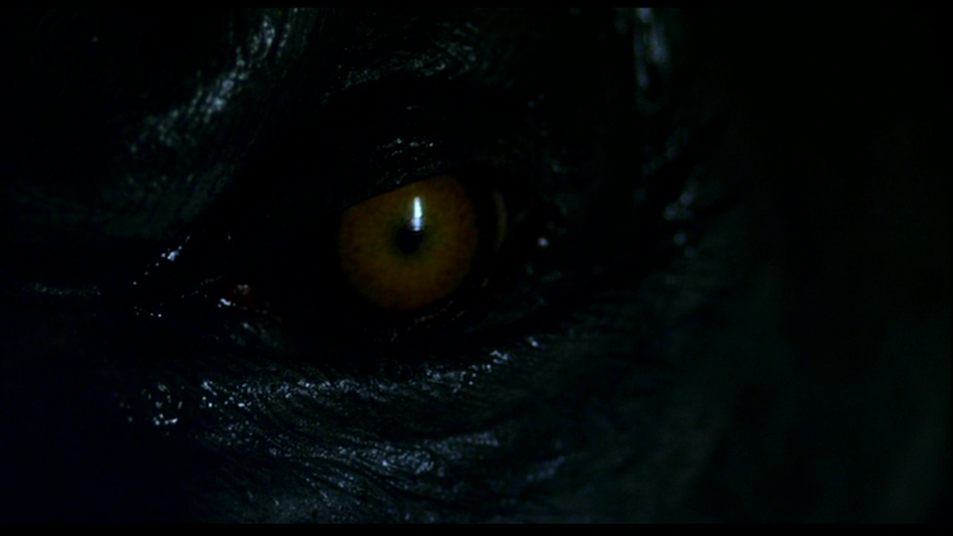 Meilleurs fonds d'écran Werewolf: La Nuit Du Loup Garou pour l'écran du téléphone