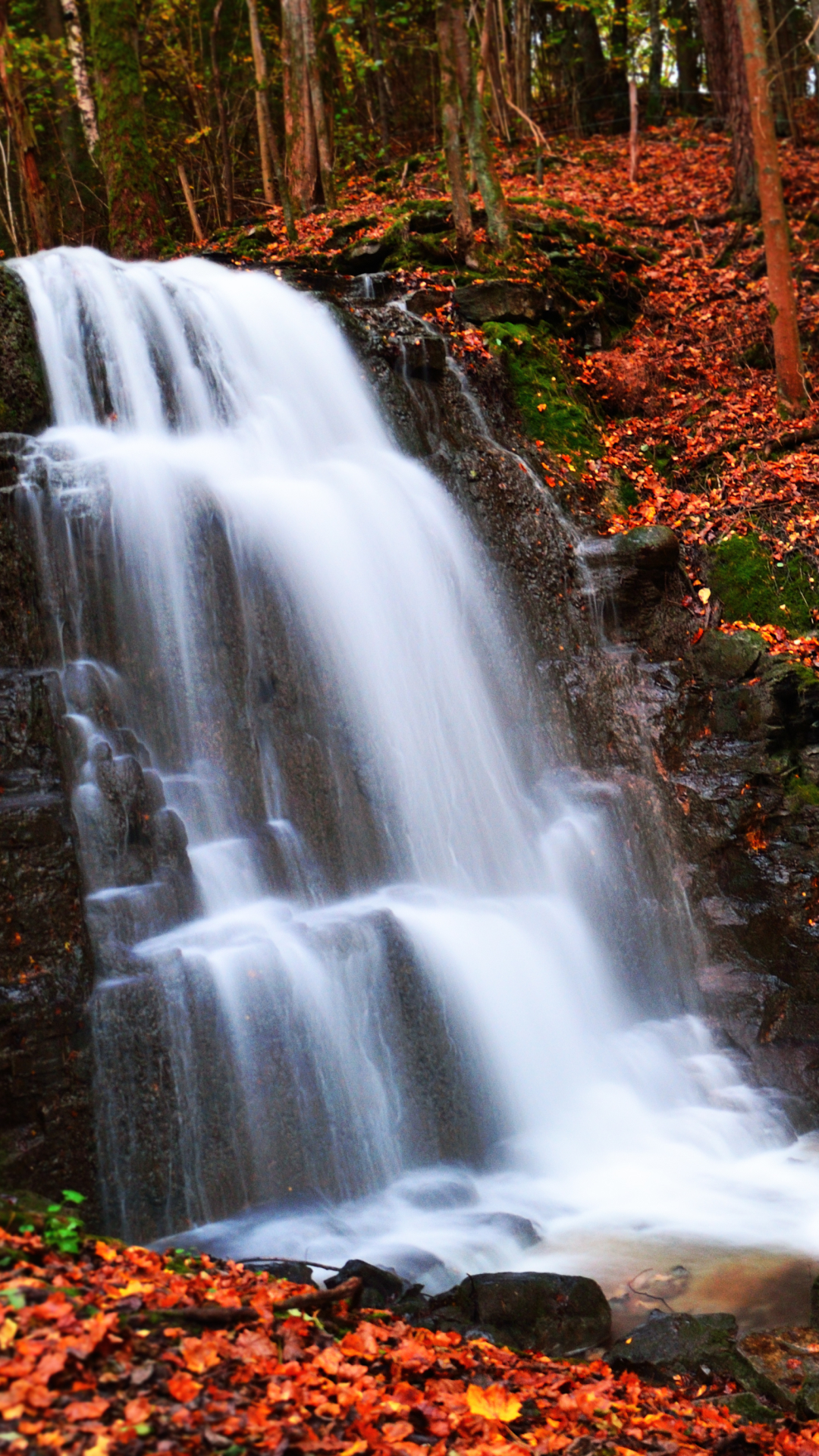 Download mobile wallpaper Waterfalls, Waterfall, Forest, Tree, Fall, Earth, Orange (Color) for free.