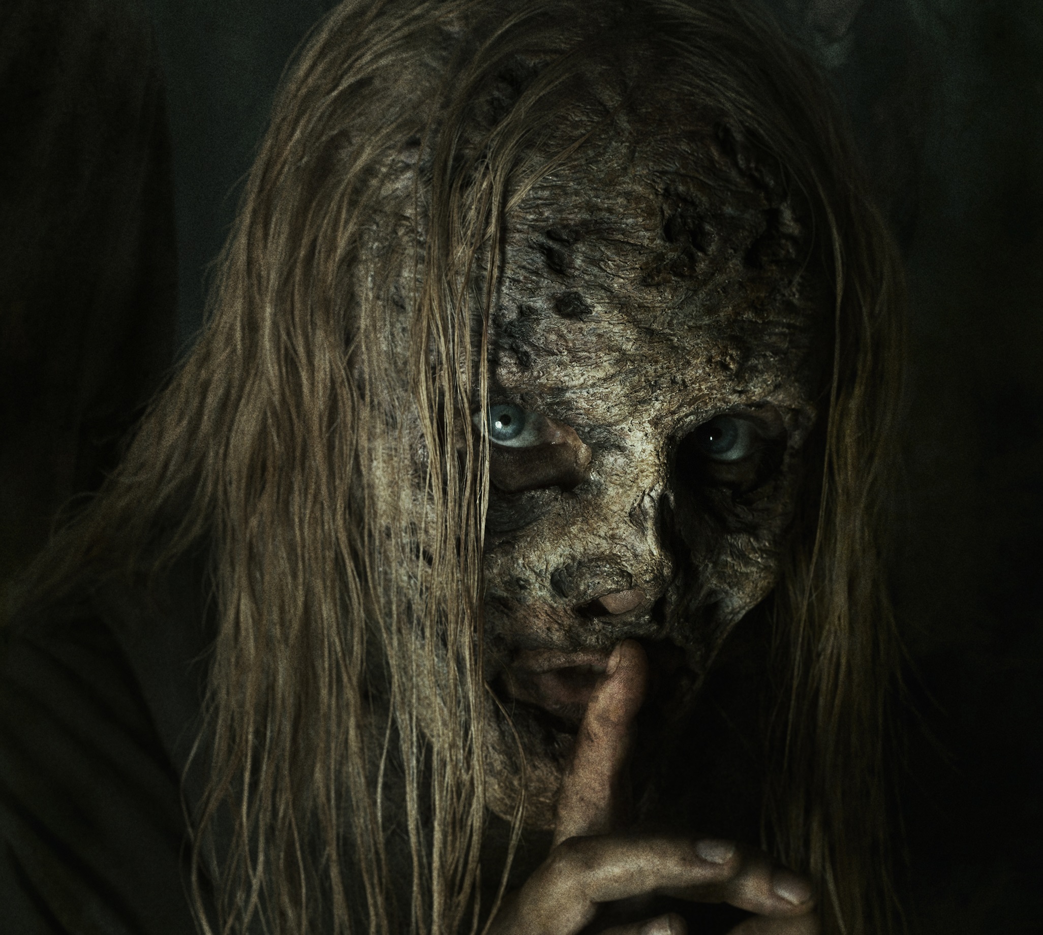 Download mobile wallpaper Tv Show, The Walking Dead for free.