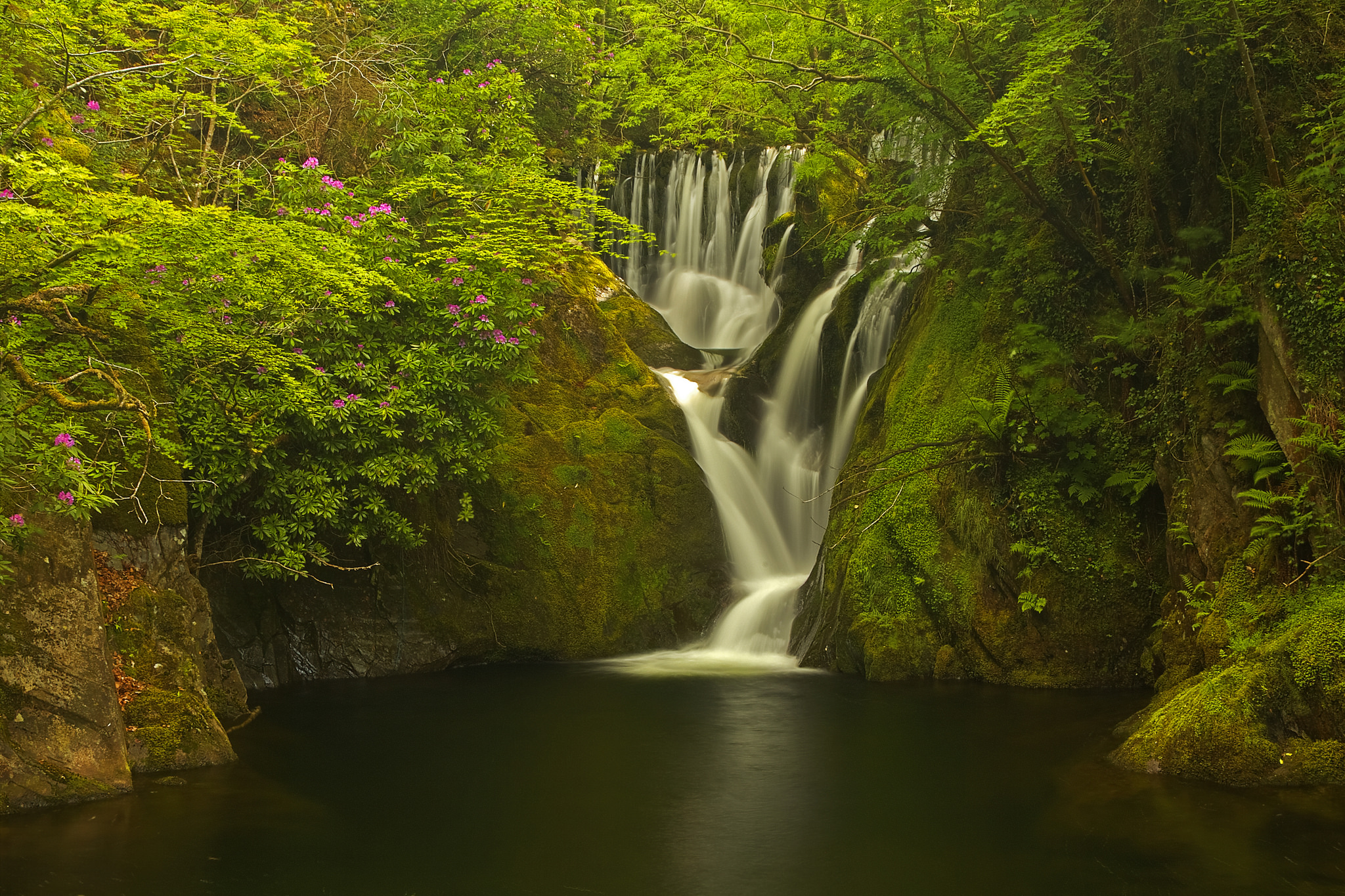 PCデスクトップに滝, 森, 地球画像を無料でダウンロード