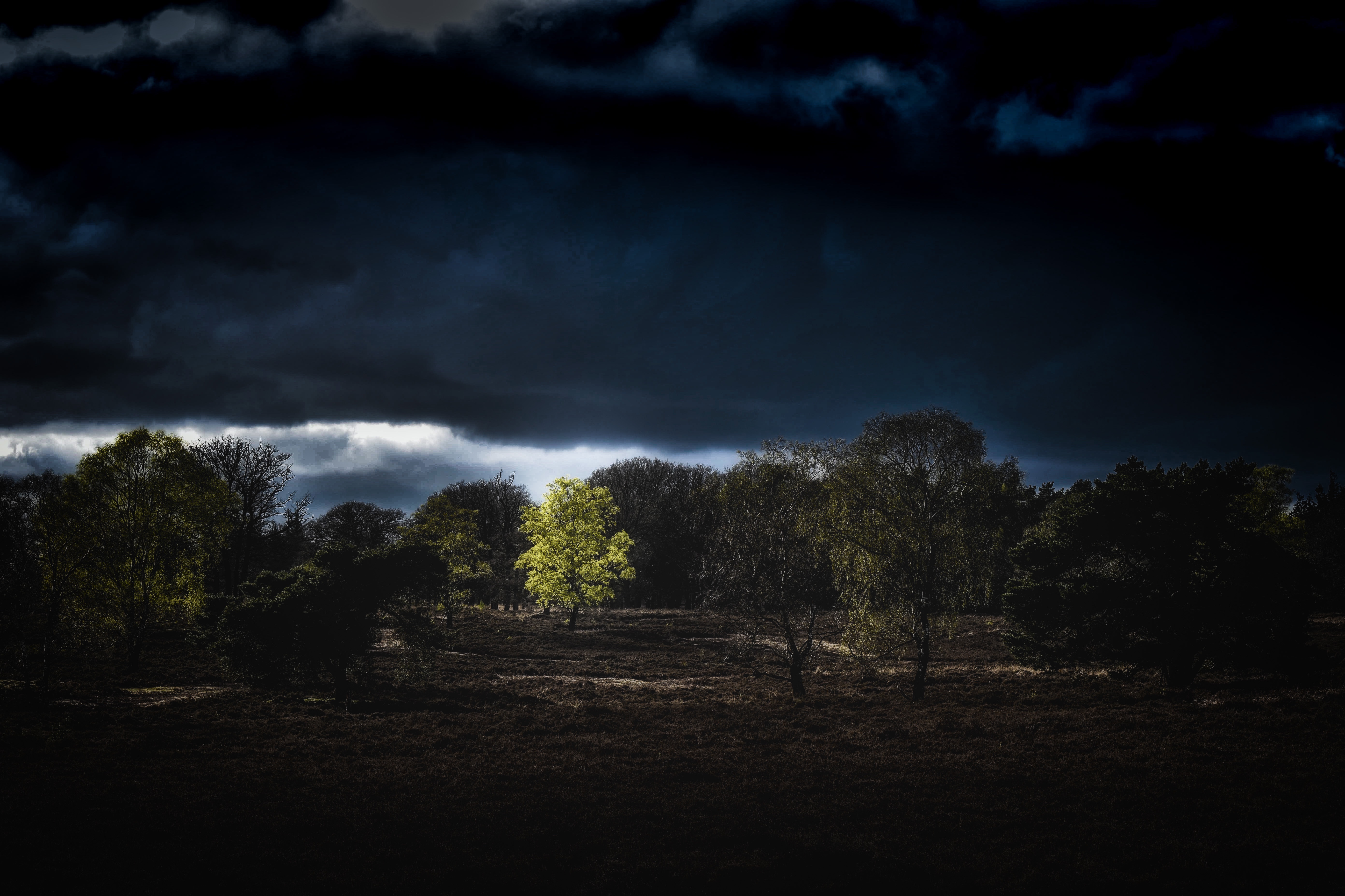 Free download wallpaper Trees, Clouds, Land, Nature, Night, Earth on your PC desktop