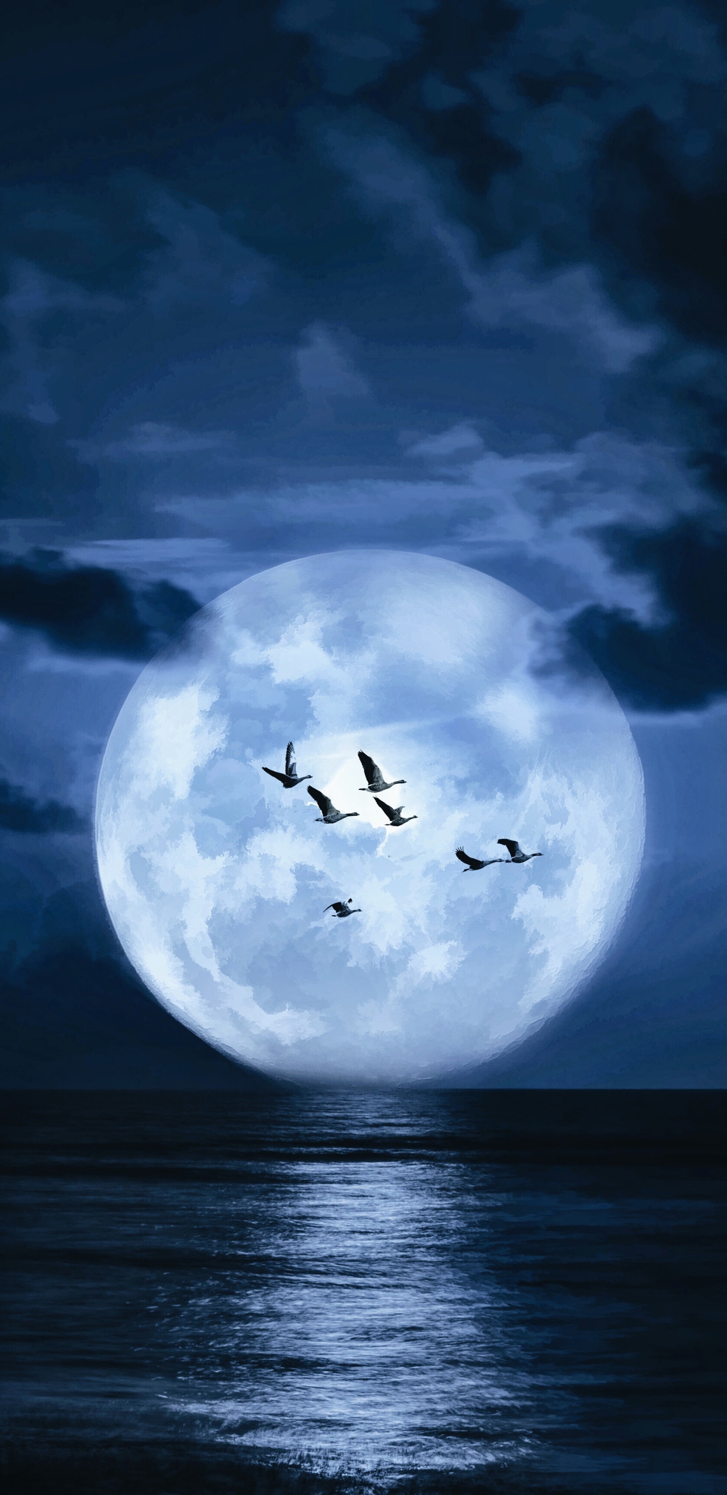 Download mobile wallpaper Fantasy, Moon, Bird for free.