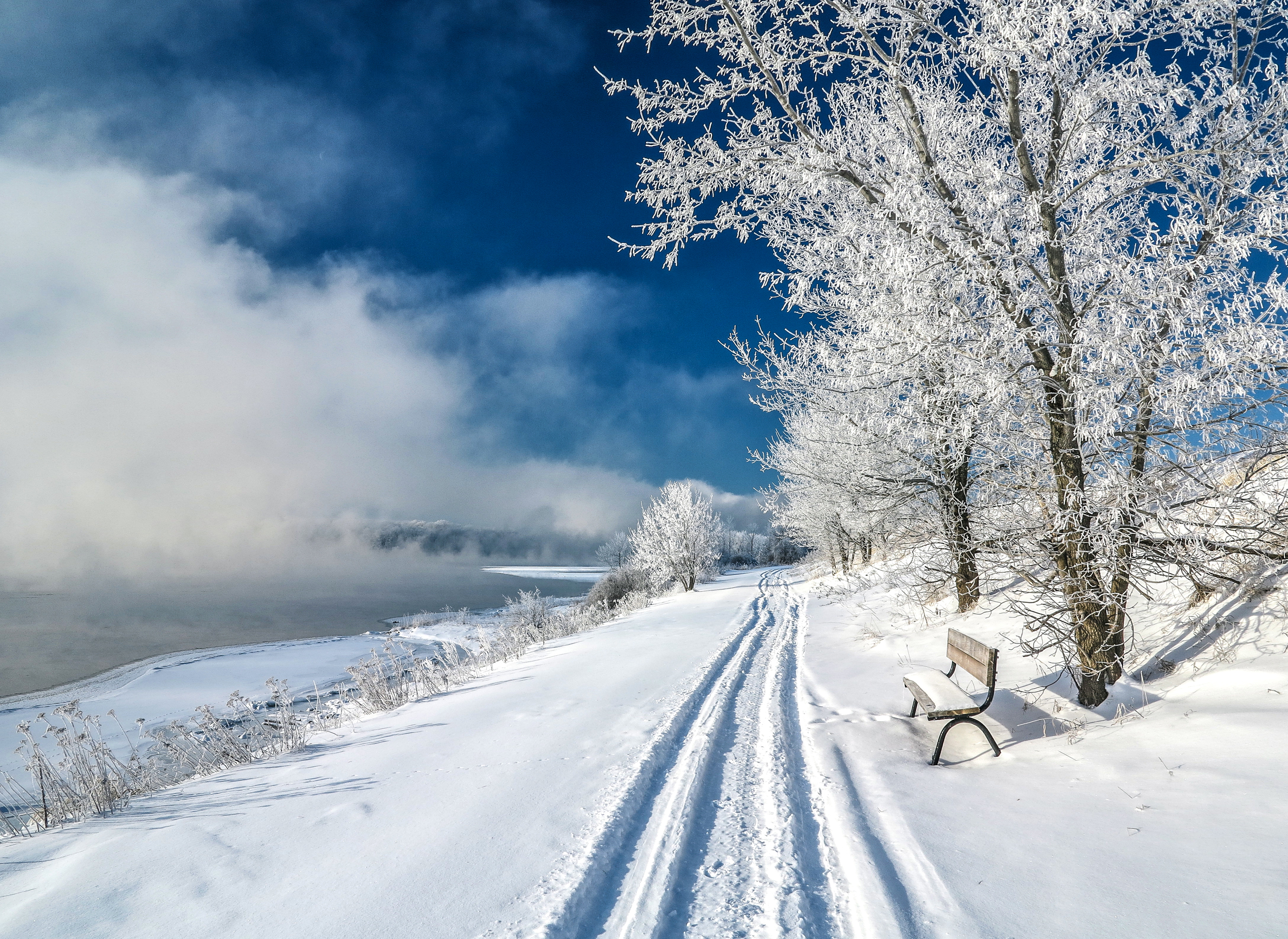 Free download wallpaper Winter, Nature, Snow, Fog, Path, Bench, Photography on your PC desktop