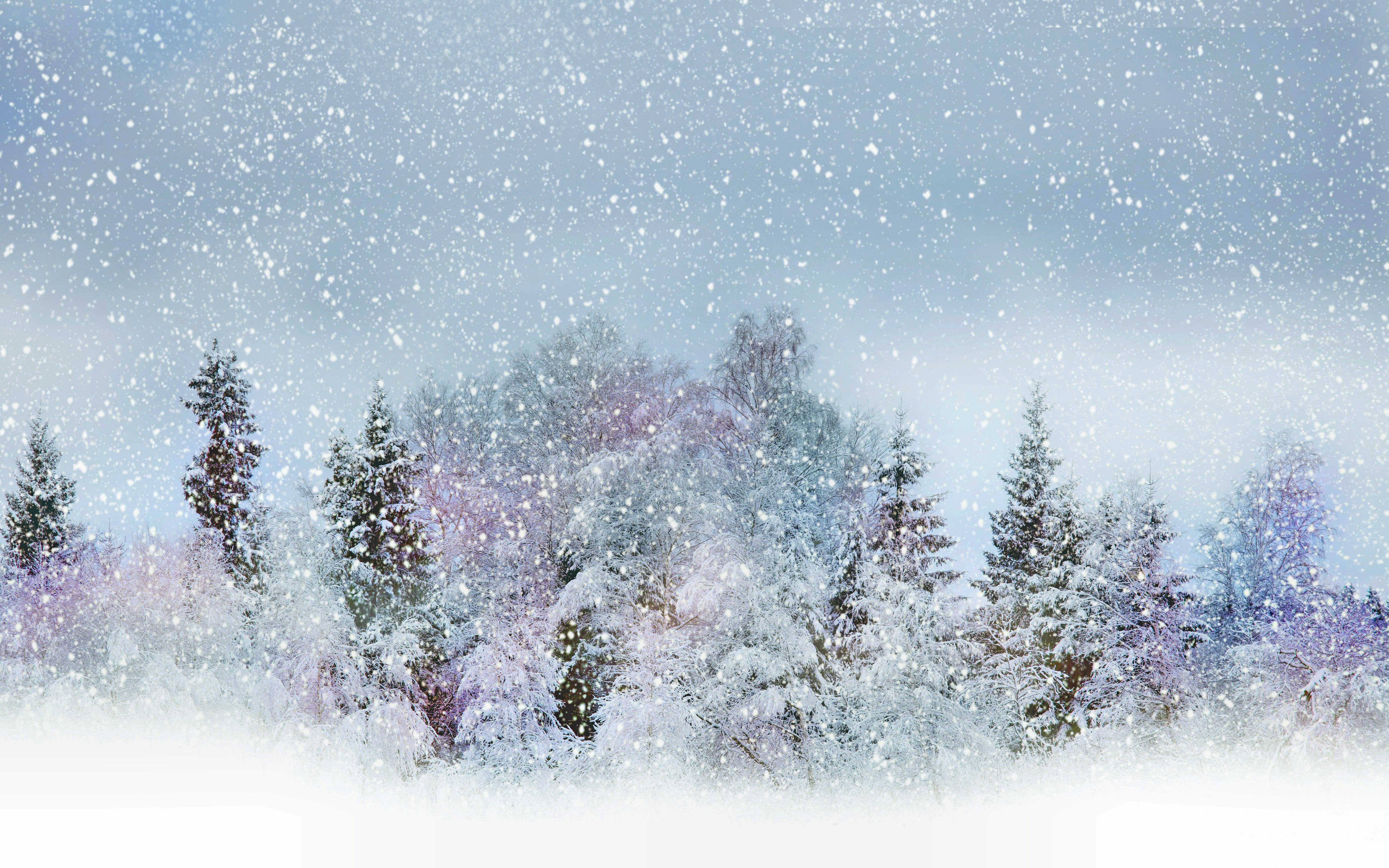 無料モバイル壁紙冬, 自然, 木, 雪, 霧, 地球, 空をダウンロードします。