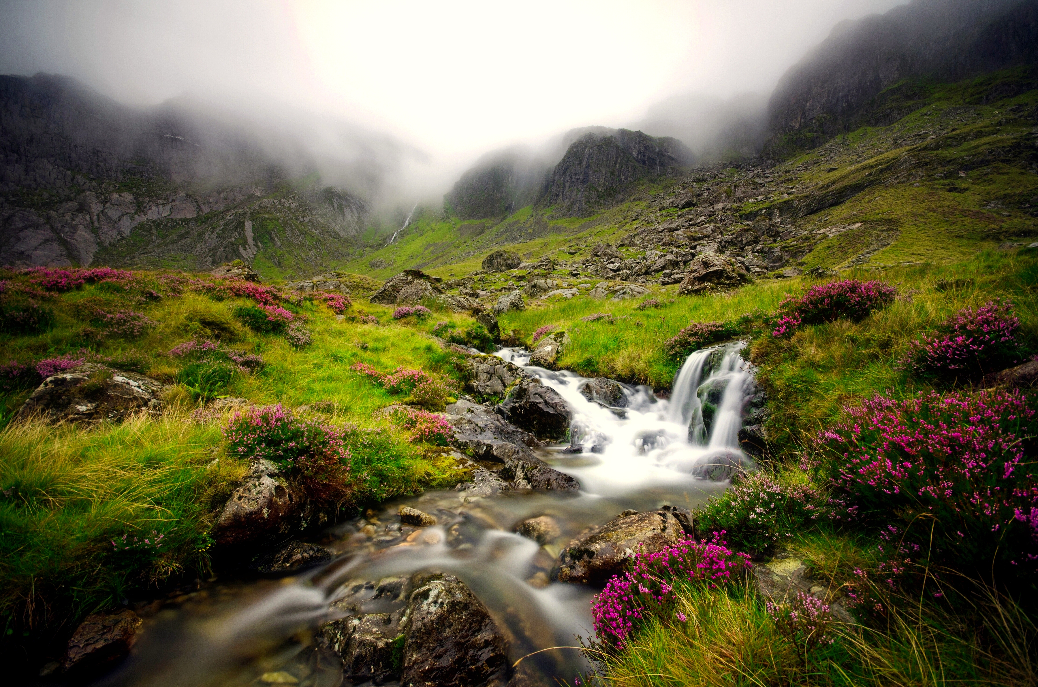 Free download wallpaper Waterfalls, Mountain, Flower, Waterfall, Fog, Earth, Stream on your PC desktop