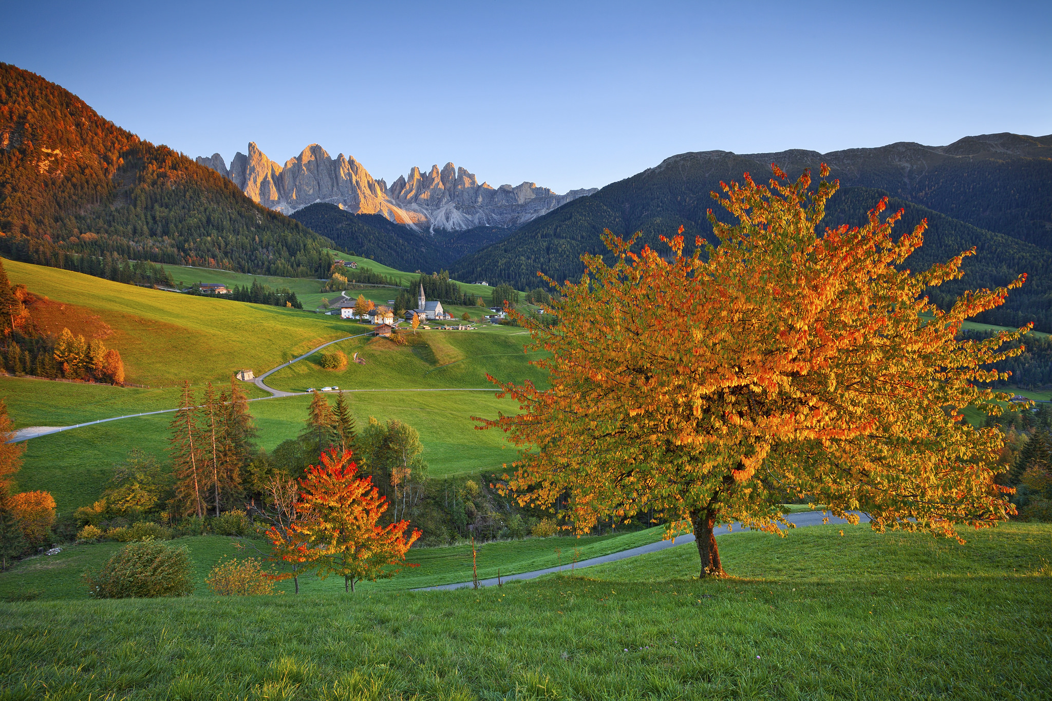 Скачать картинку Осень, Италия, Гора, Зеленый, Деревня, Холм, Ландшафт, Сделано Человеком в телефон бесплатно.