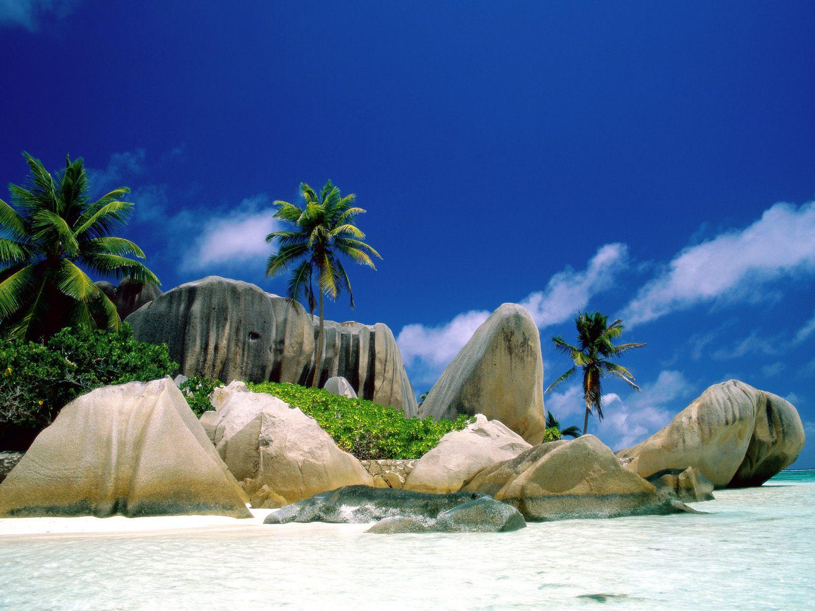 1076409 télécharger le fond d'écran palmier, plage, terre/nature, océan, ciel - économiseurs d'écran et images gratuitement