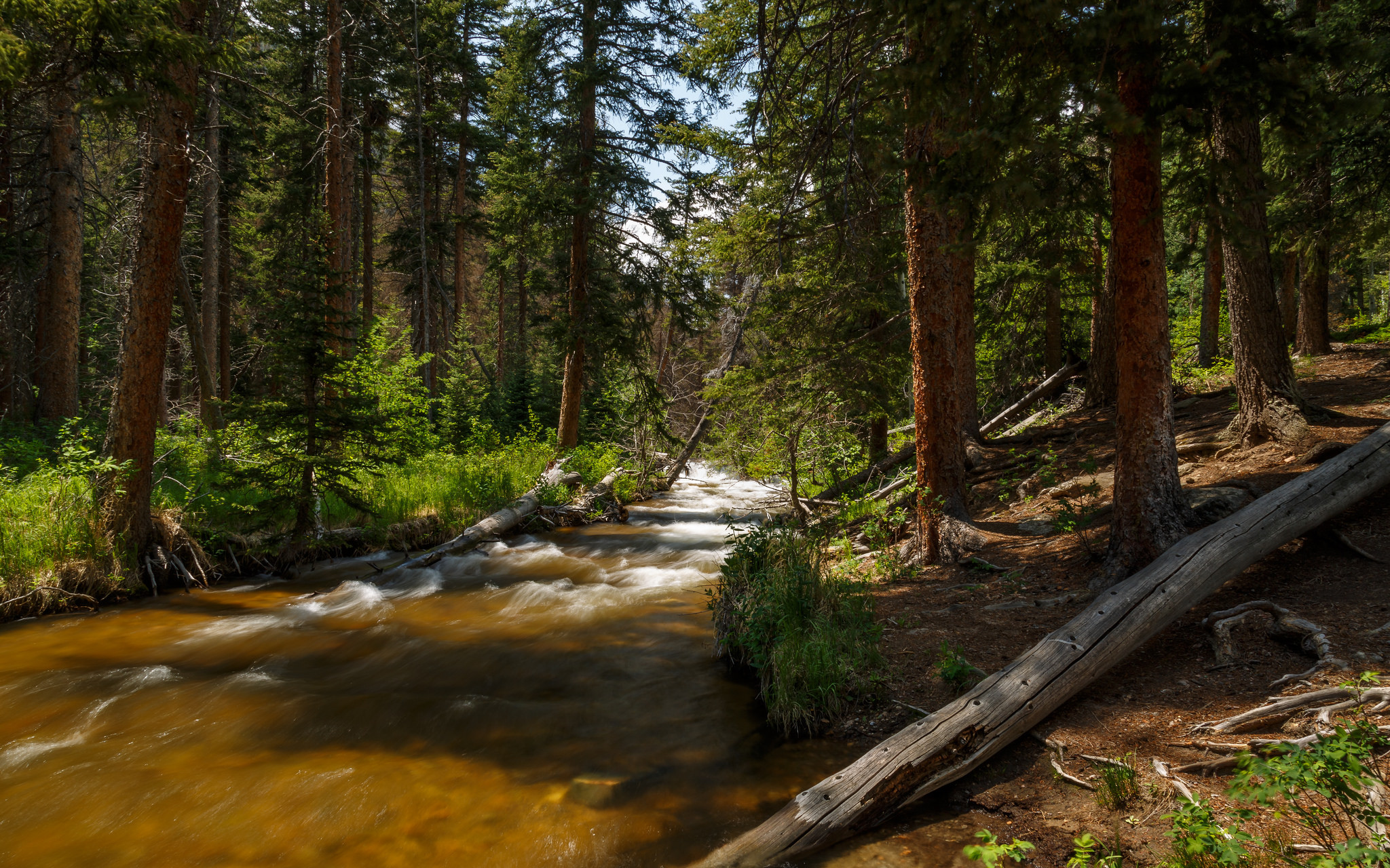 Handy-Wallpaper Natur, Wald, Baum, Fluss, Erde/natur kostenlos herunterladen.