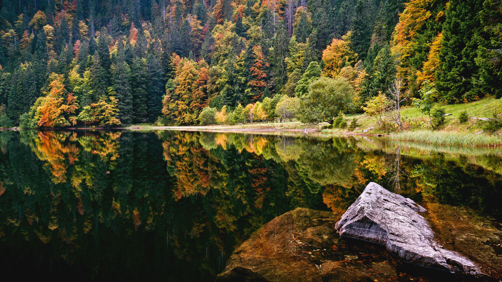 Descarga gratis la imagen Lago, Tierra/naturaleza en el escritorio de tu PC