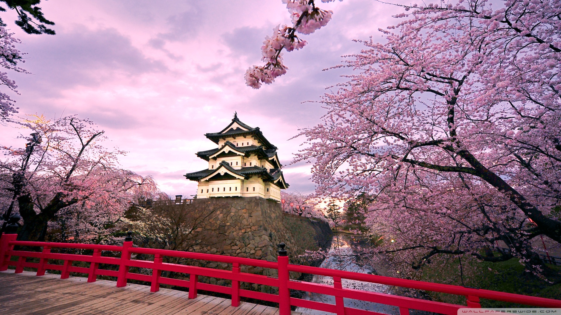 Baixar papel de parede para celular de Primavera, Flor De Cerejeira, Feito Pelo Homem, Castelo De Hirosaki gratuito.