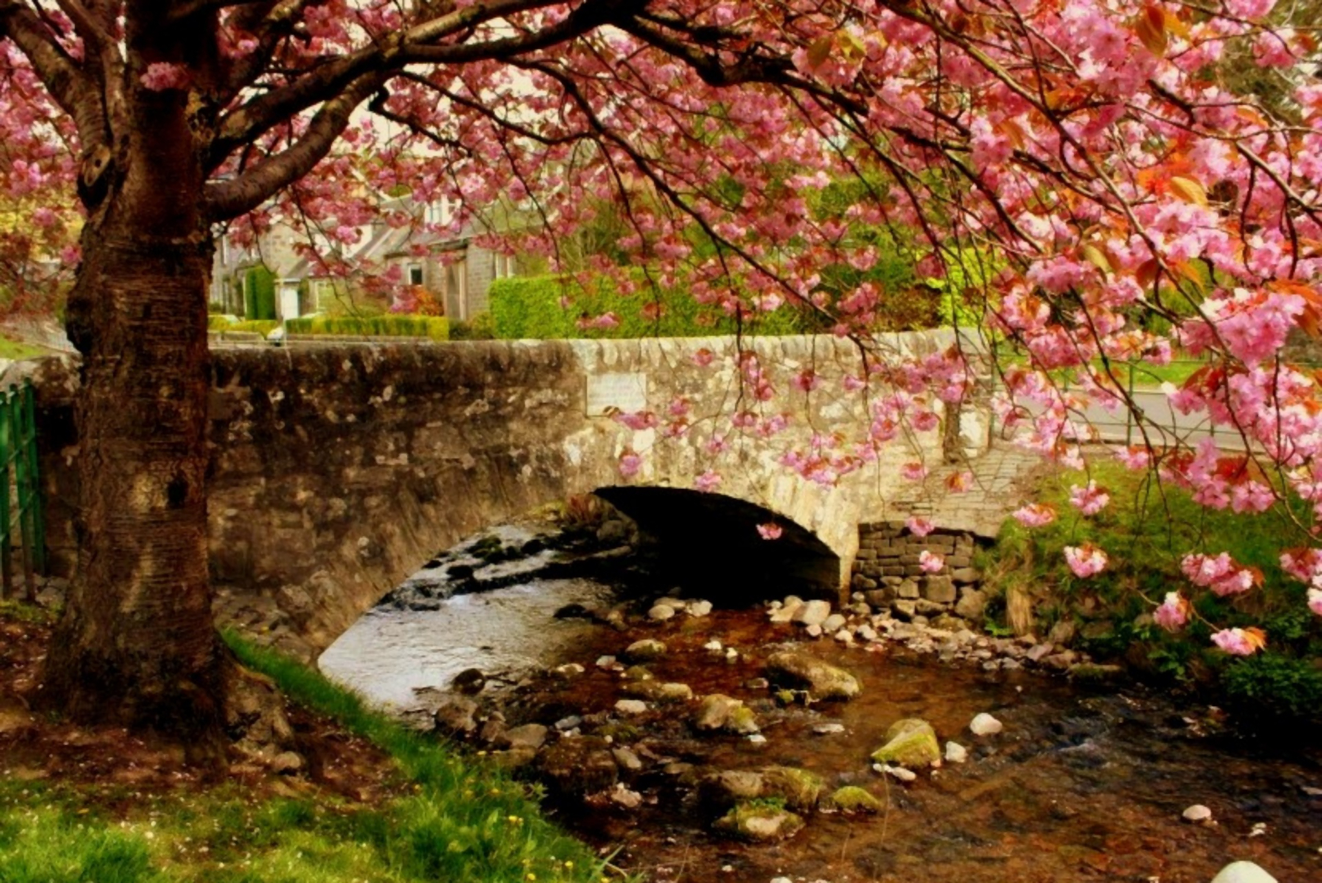 PCデスクトップに家, 橋, 木, 花, ブリッジ, 春, マンメイド, ピンクの花画像を無料でダウンロード