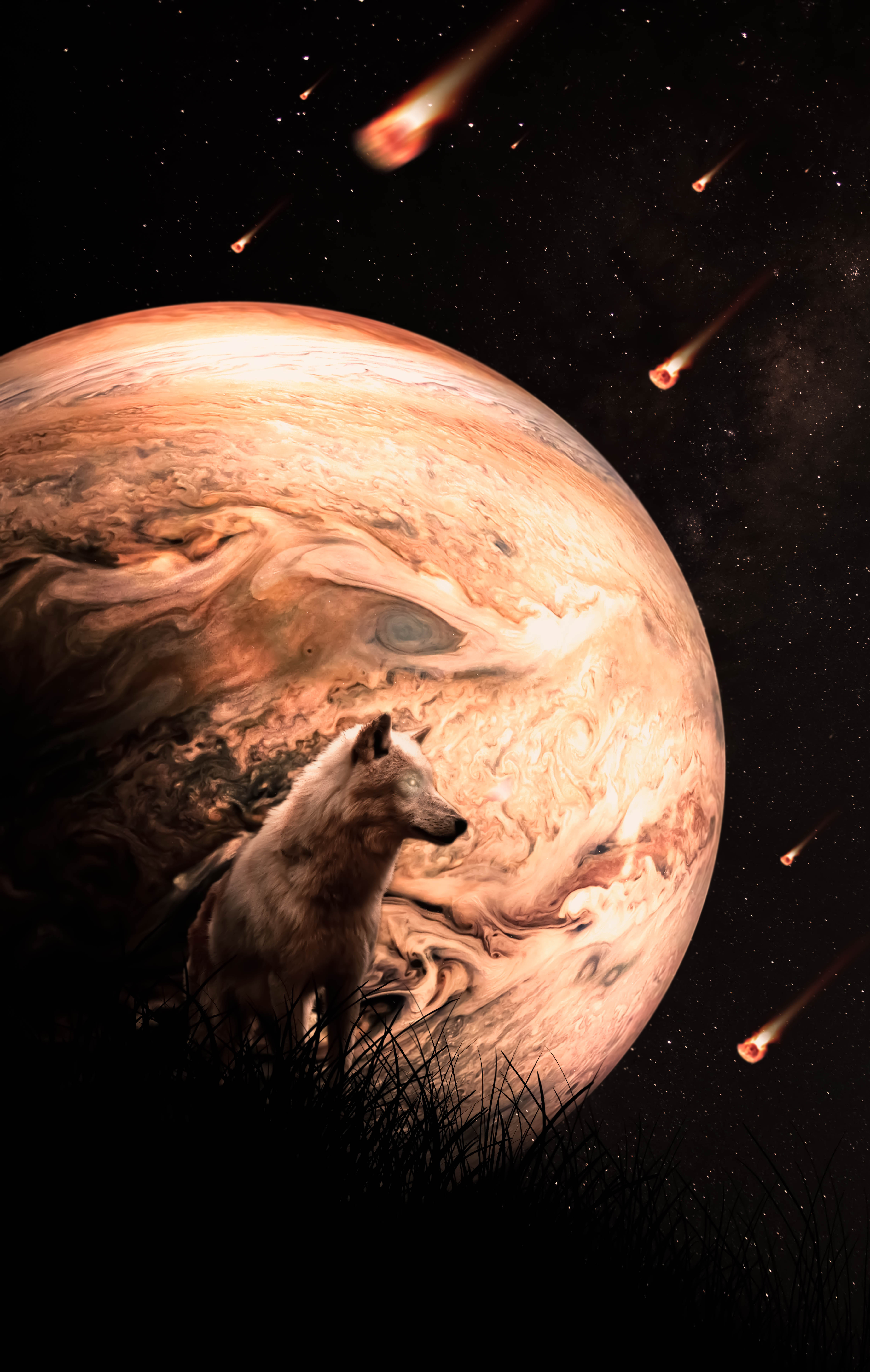 Free download wallpaper Animals, Meteors, Wolf, Meteora, Universe, Planet on your PC desktop