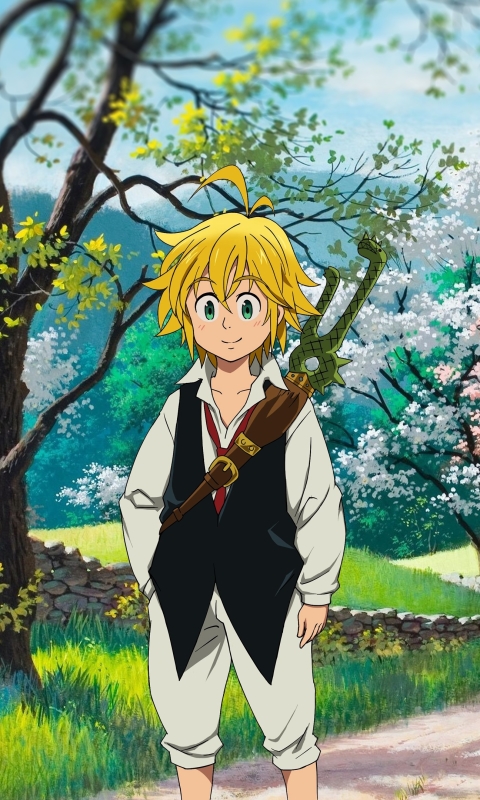 Handy-Wallpaper Animes, The Seven Deadly Sins, Meliodas (Die Sieben Todsünden) kostenlos herunterladen.