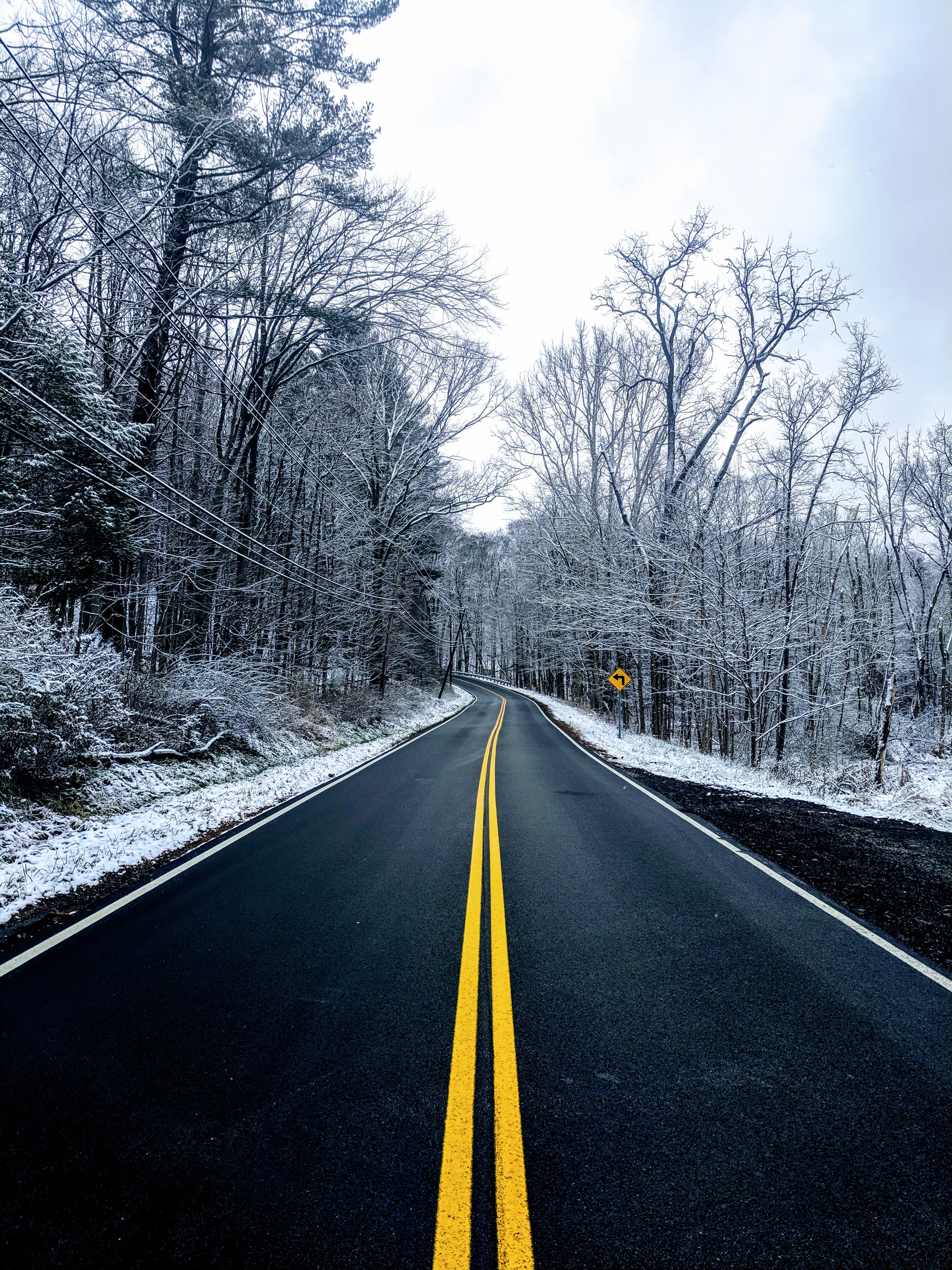 nature, winter, trees, snow, road, markup, asphalt