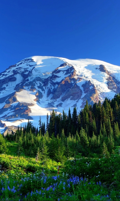 Descarga gratuita de fondo de pantalla para móvil de Montañas, Montaña, Tierra/naturaleza.